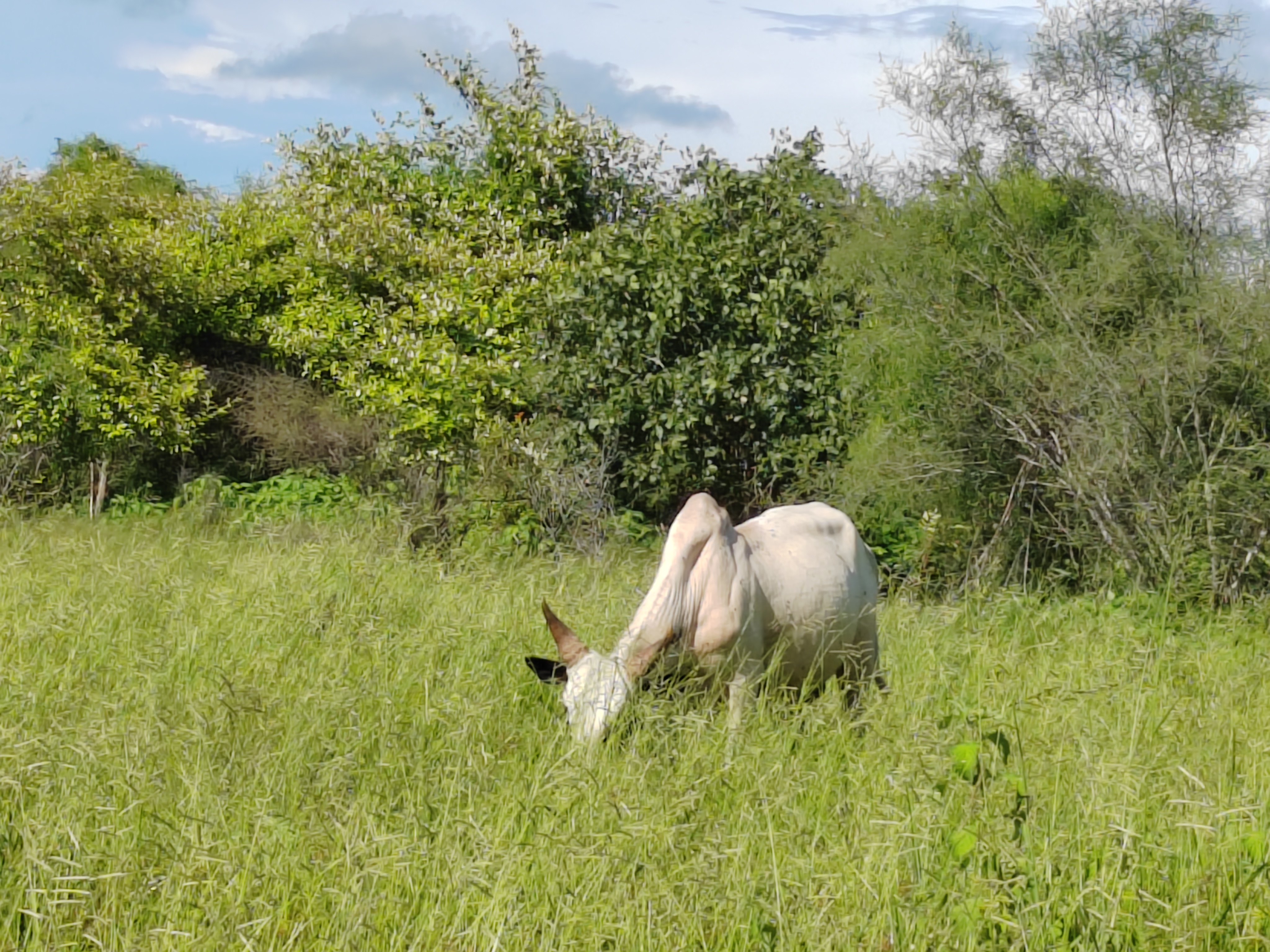 Мадагаскар: приключения на зелёном острове! Внутренние рейсы включены! (166/333)