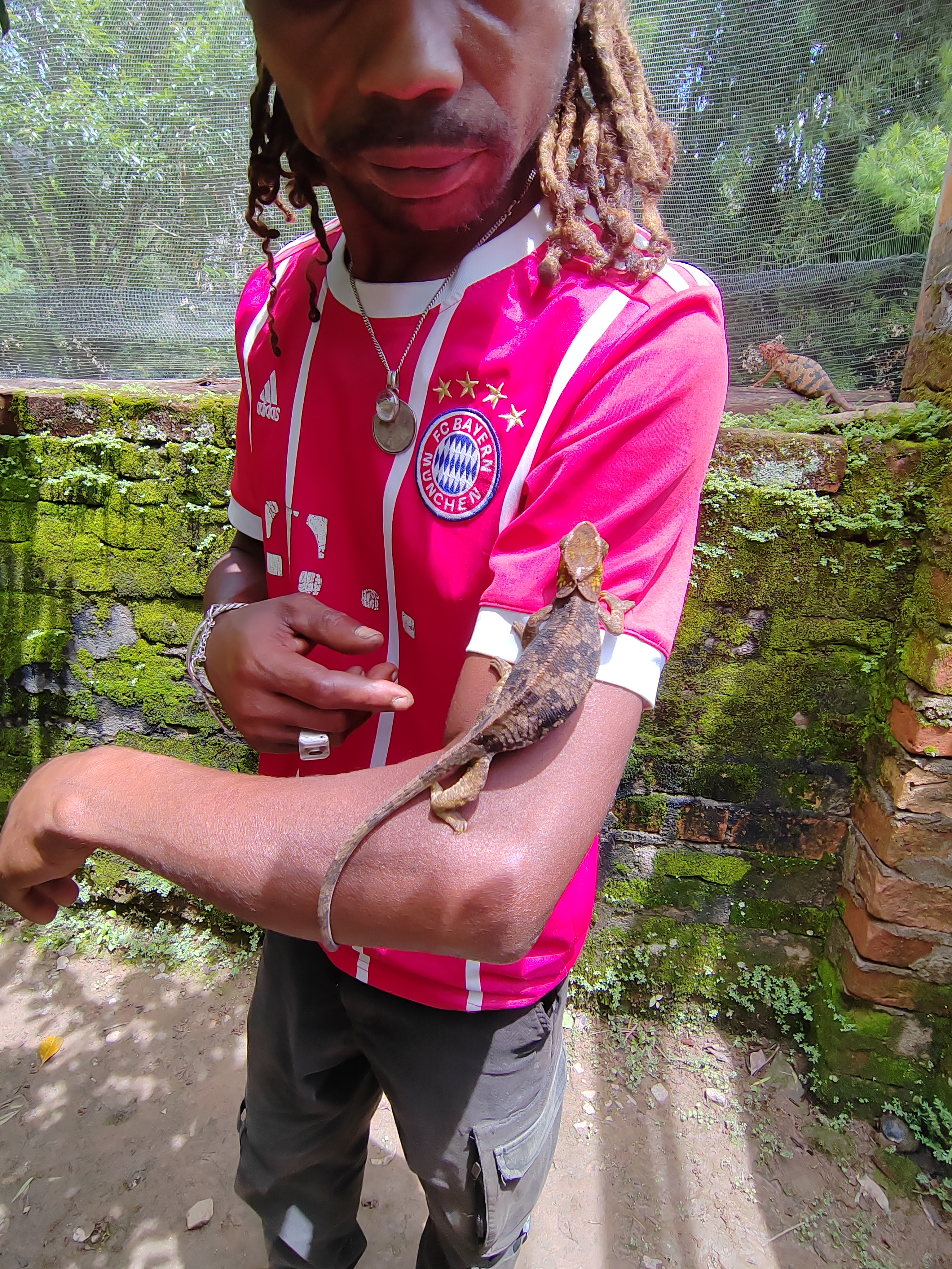 Мадагаскар: приключения на зелёном острове! Внутренние рейсы включены! (36/333)