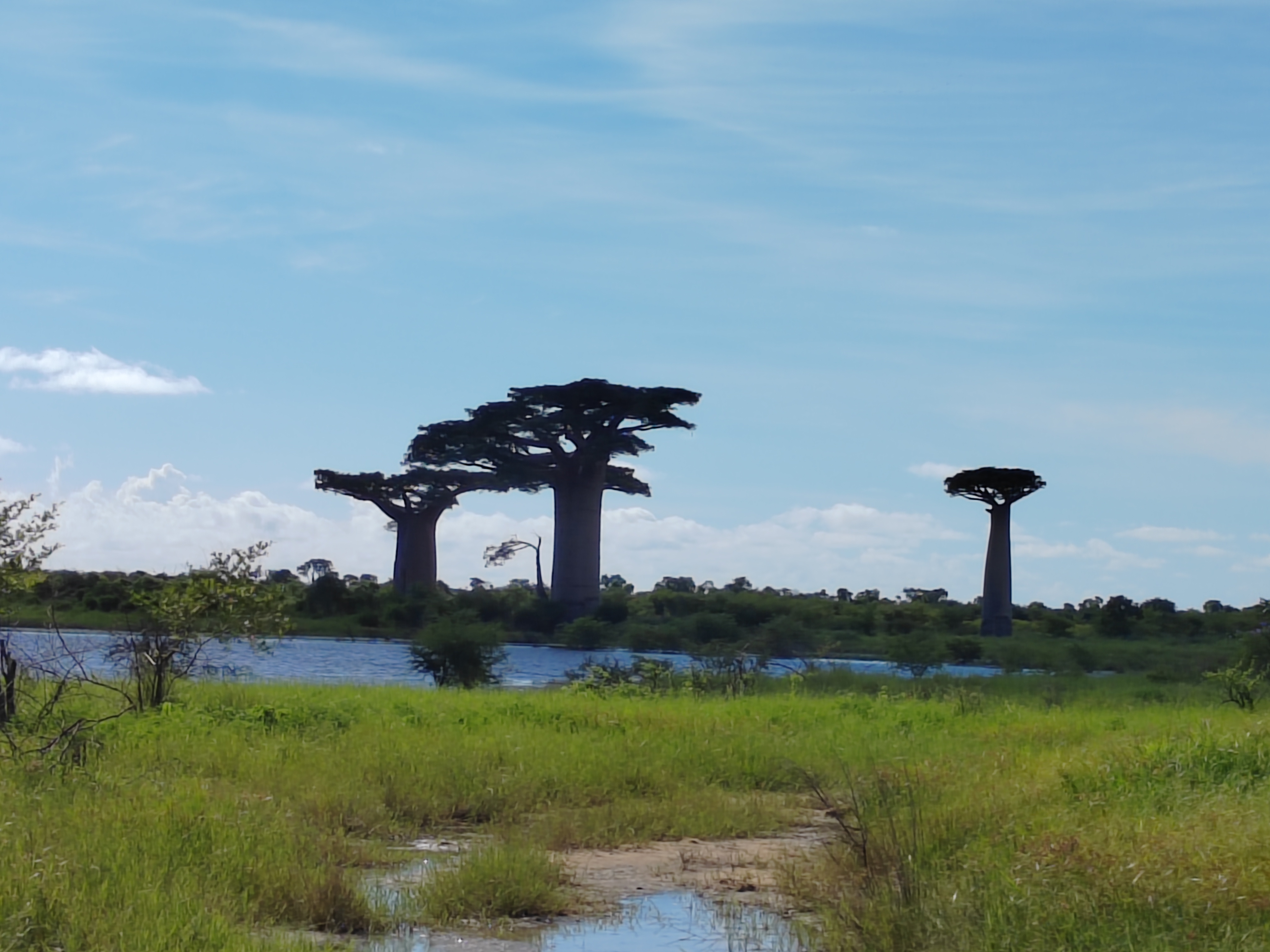Мадагаскар: приключения на зелёном острове! Внутренние рейсы включены! (163/333)