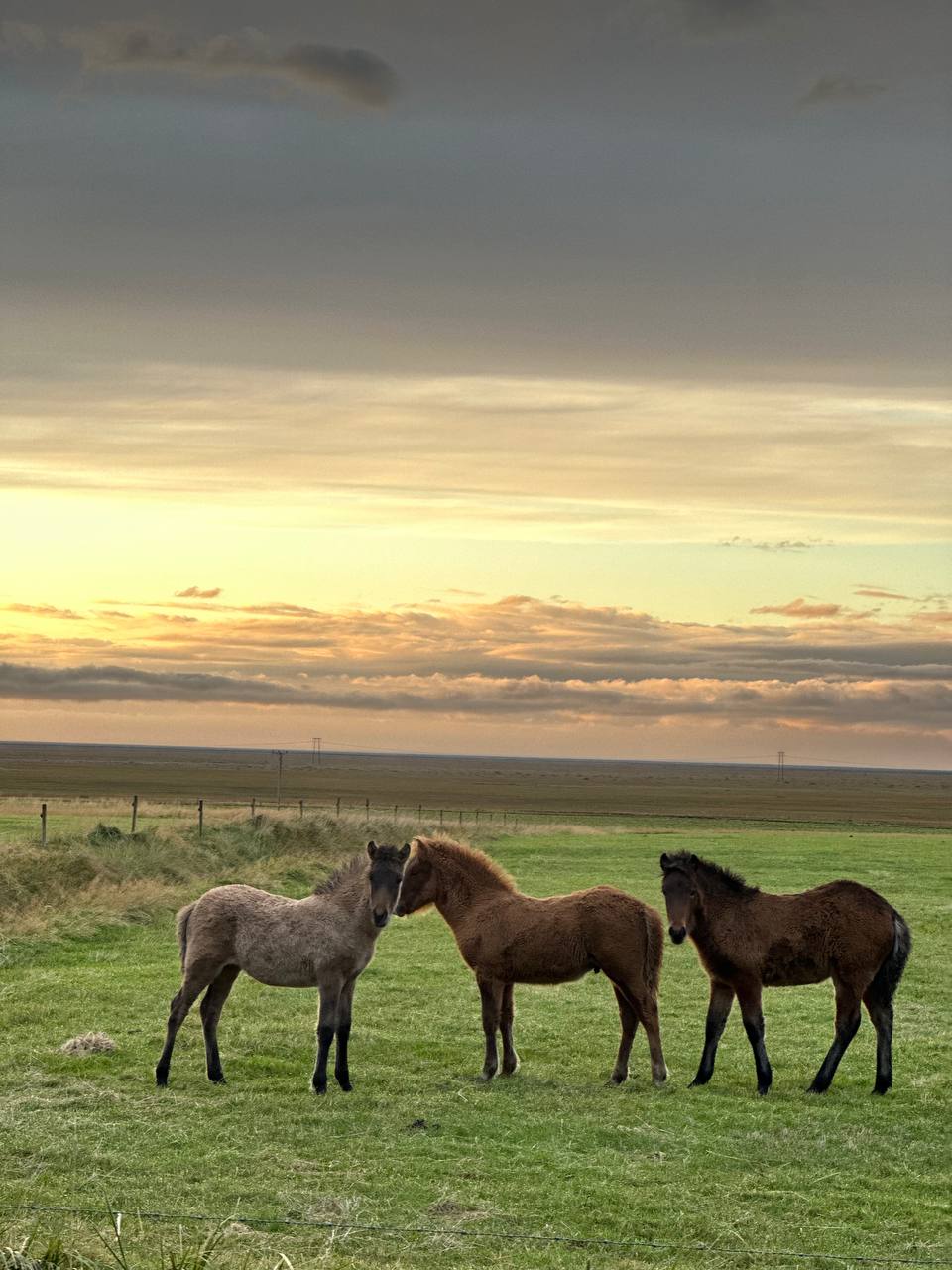 Кругосветка по Исландии (21/22)