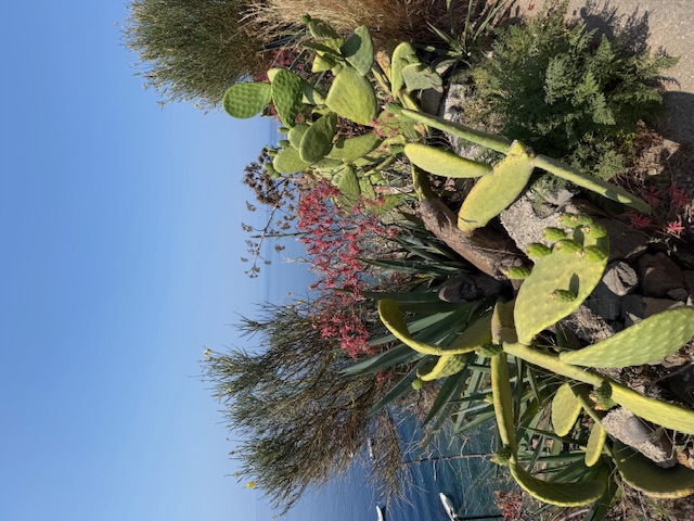 Яхтинг по Сицилии и Липарским островам (5/27)