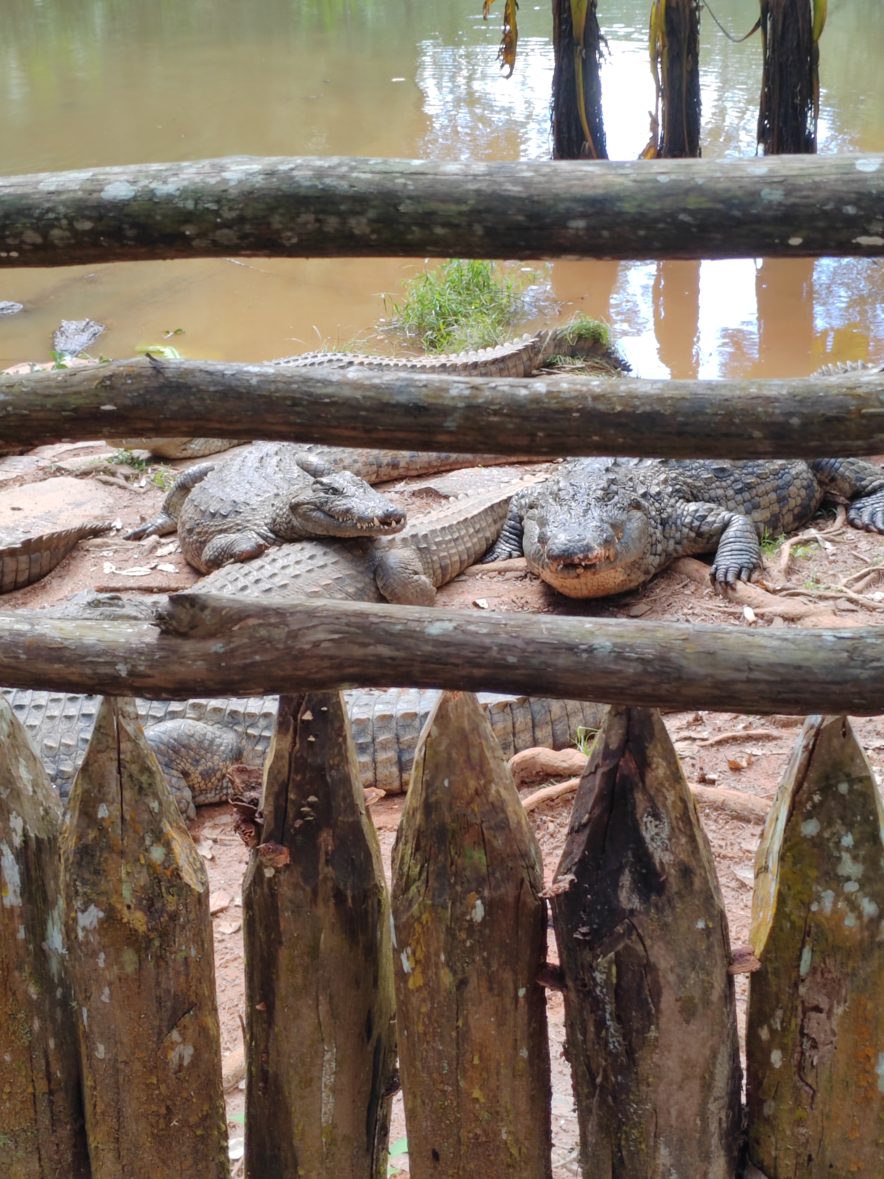 Мадагаскар: приключения на зелёном острове! Внутренние рейсы включены! (68/333)