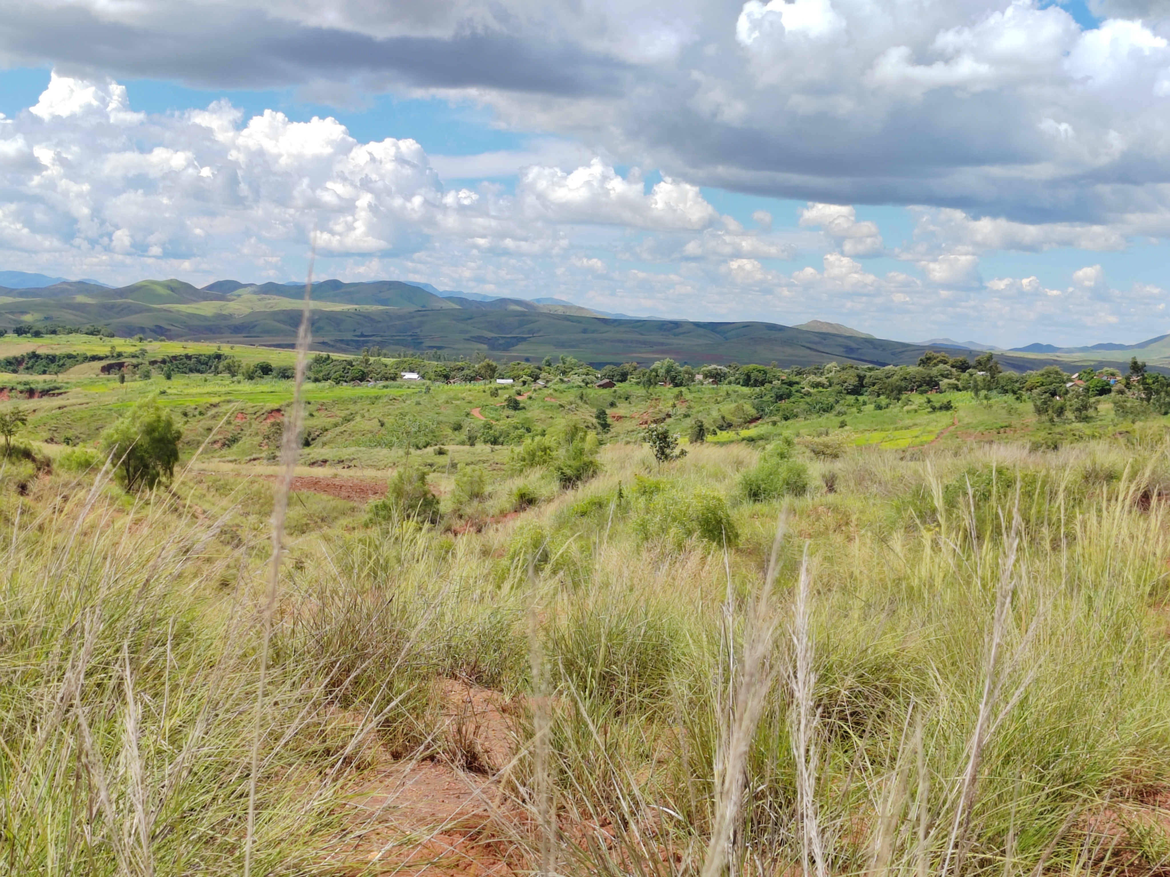 Мадагаскар: приключения на зелёном острове! Внутренние рейсы включены! (237/333)