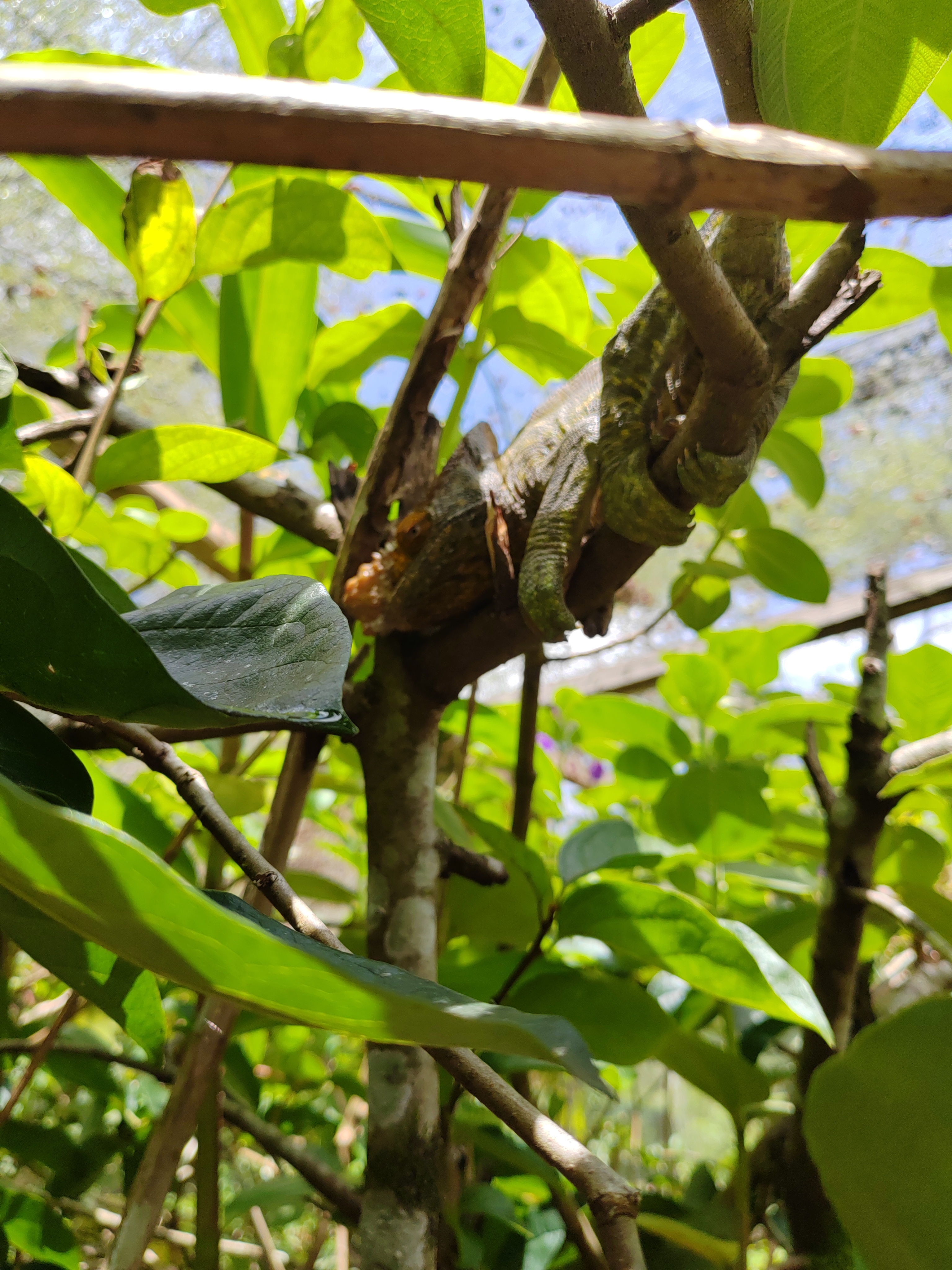 Мадагаскар: приключения на зелёном острове! Внутренние рейсы включены! (47/333)