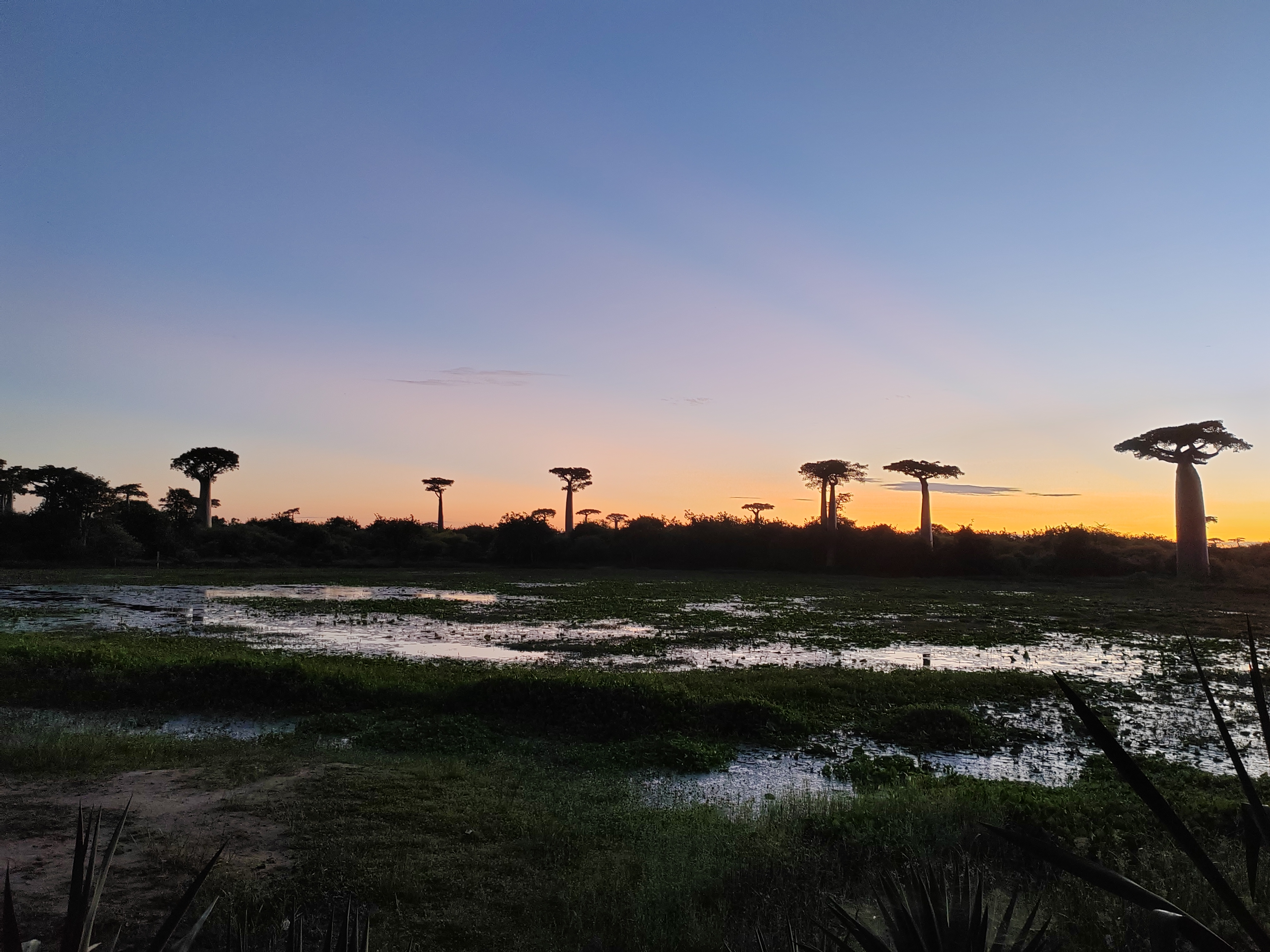 Мадагаскар: приключения на зелёном острове! Внутренние рейсы включены! (226/333)