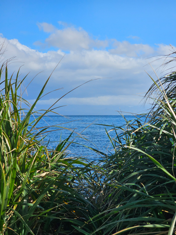 4 острова: Сахалин - Итуруп - Кунашир - Шикотан (24/45)