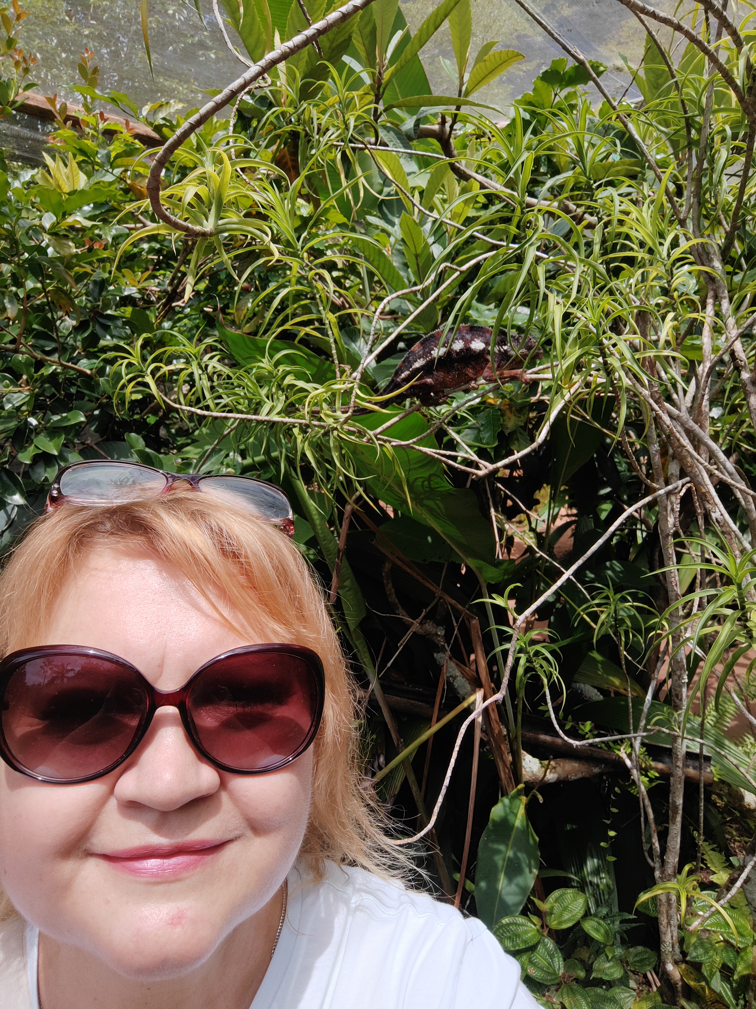 Мадагаскар: приключения на зелёном острове! Внутренние рейсы включены! (55/333)