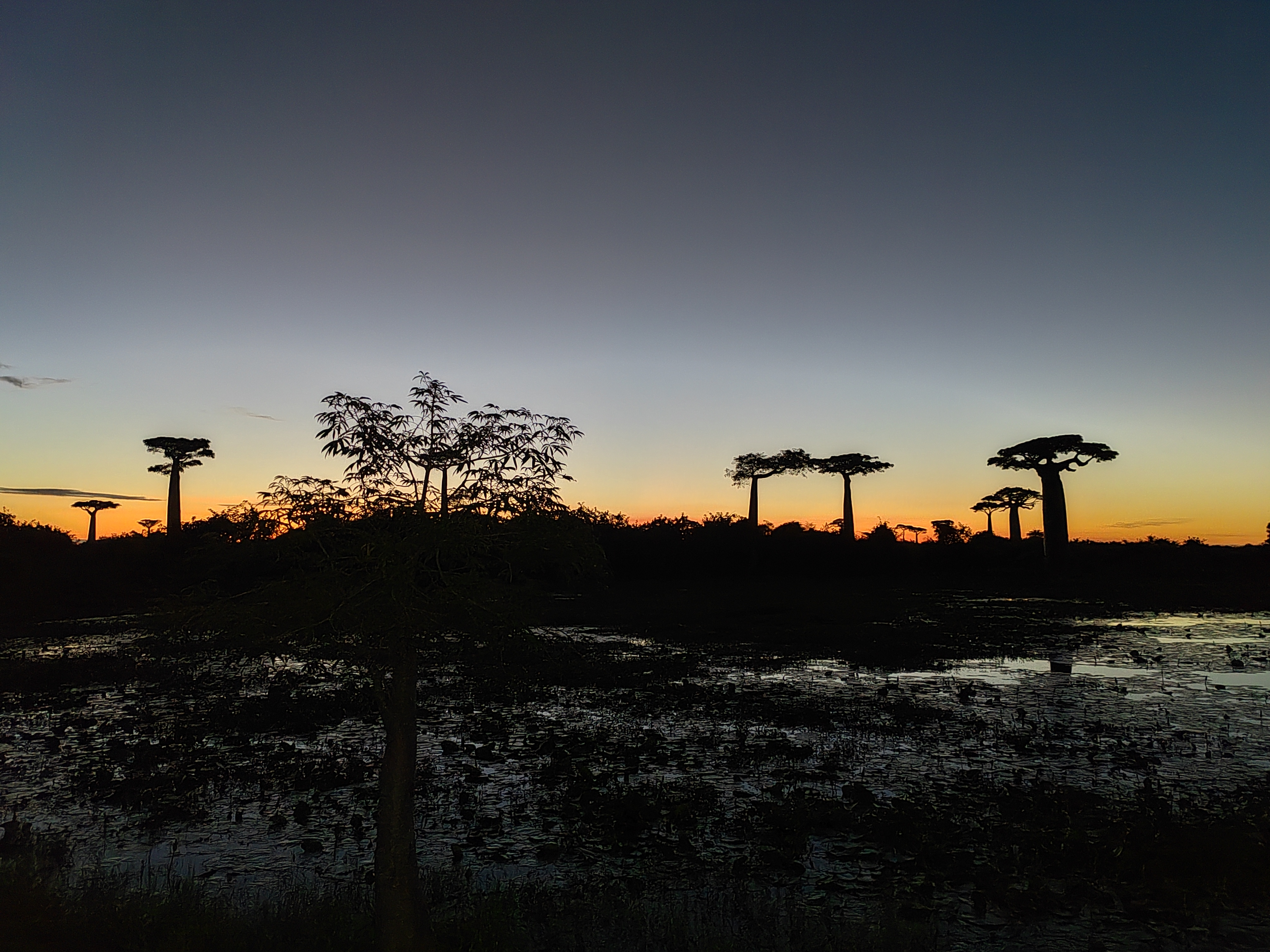 Мадагаскар: приключения на зелёном острове! Внутренние рейсы включены! (208/333)