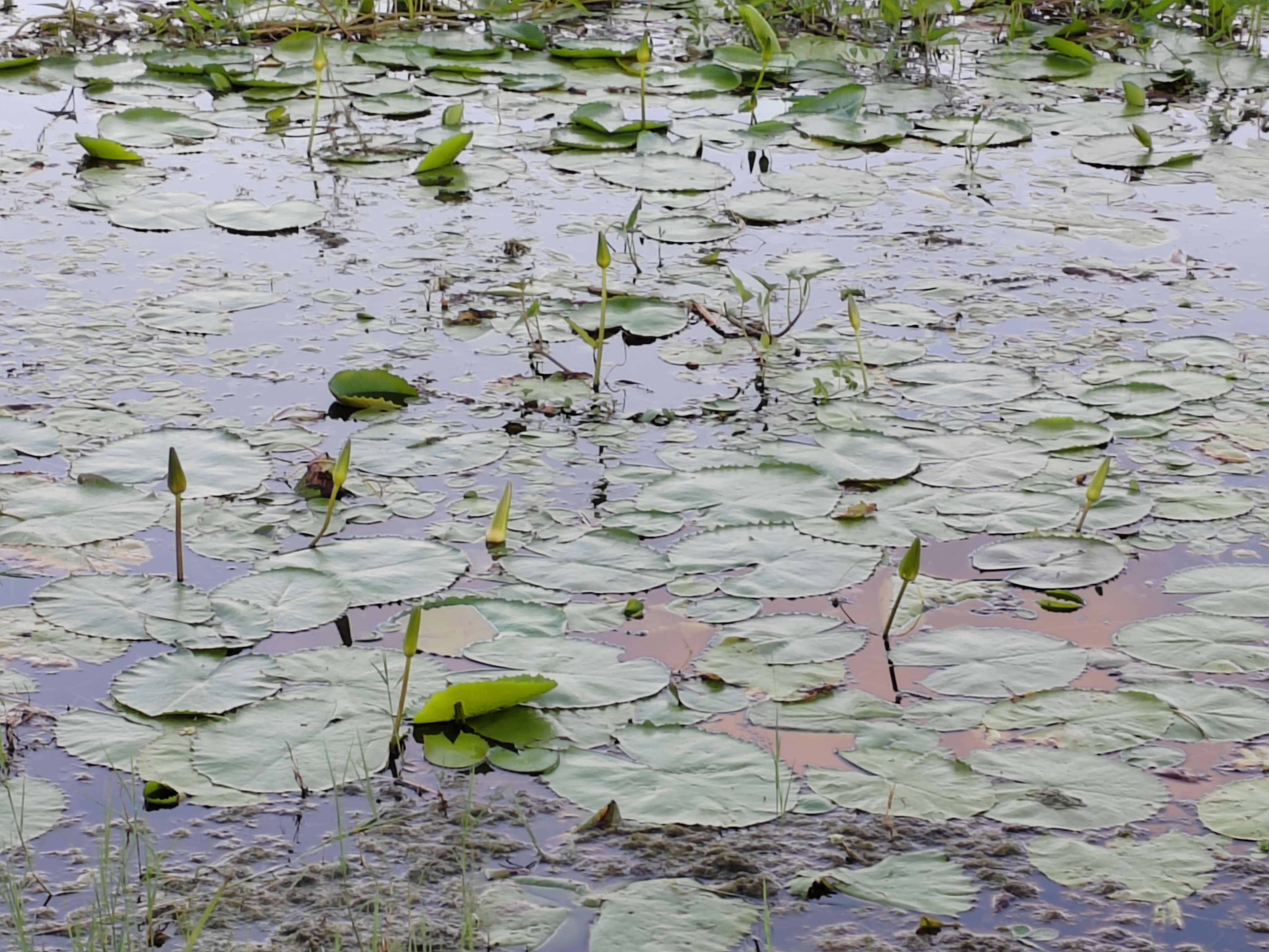 Мадагаскар: приключения на зелёном острове! Внутренние рейсы включены! (188/333)