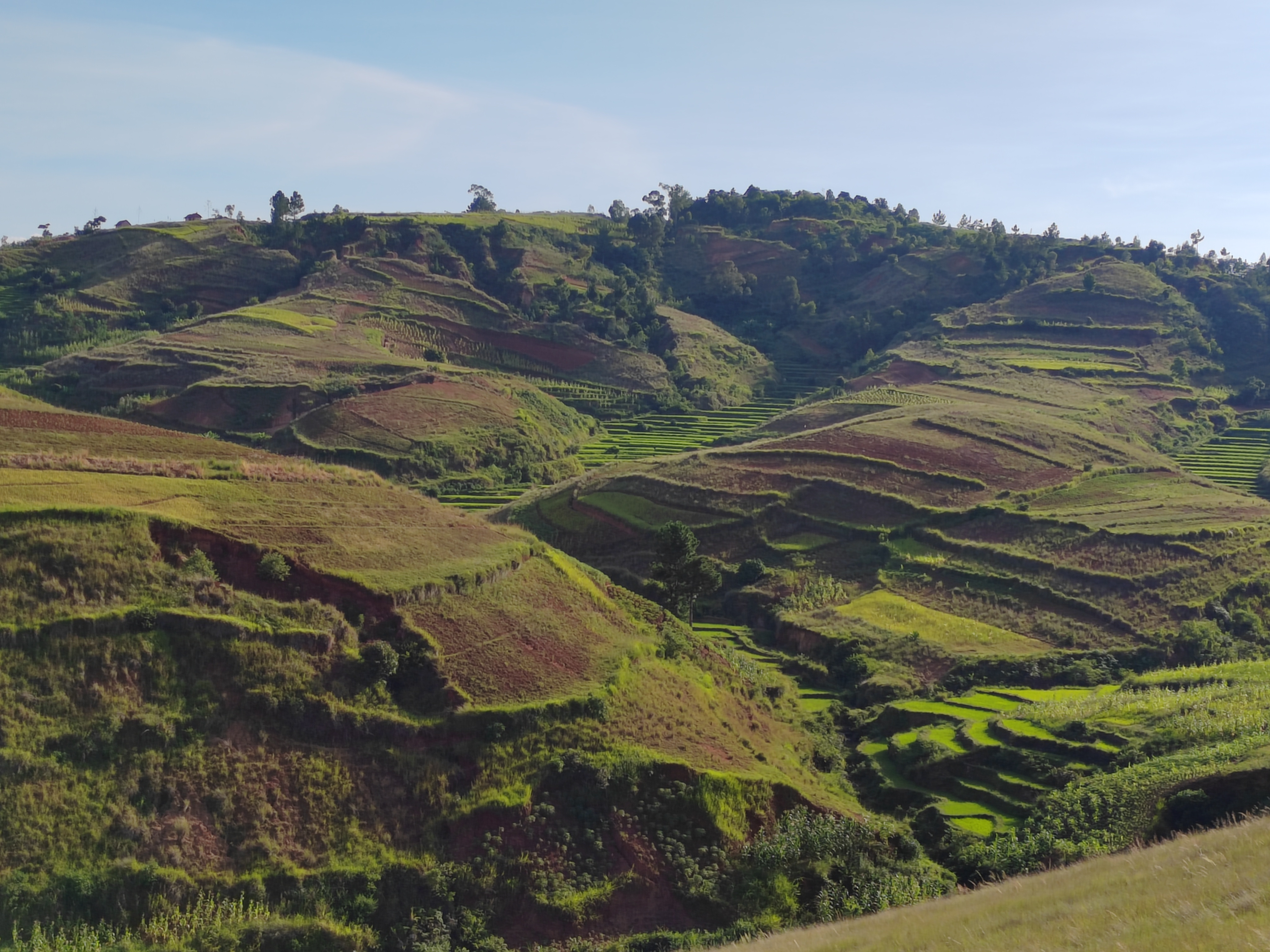 Мадагаскар: приключения на зелёном острове! Внутренние рейсы включены! (125/333)