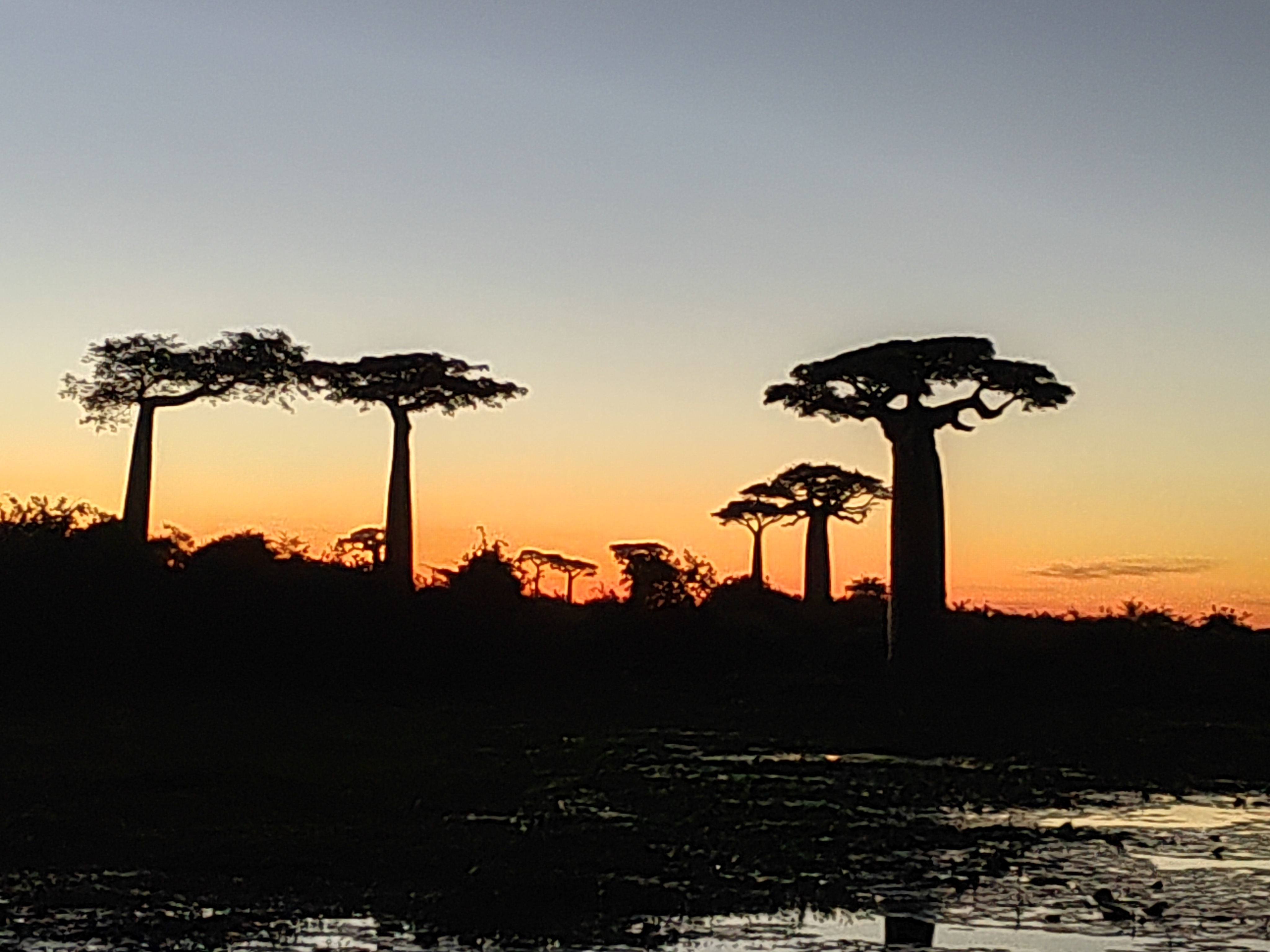 Мадагаскар: приключения на зелёном острове! Внутренние рейсы включены! (206/333)