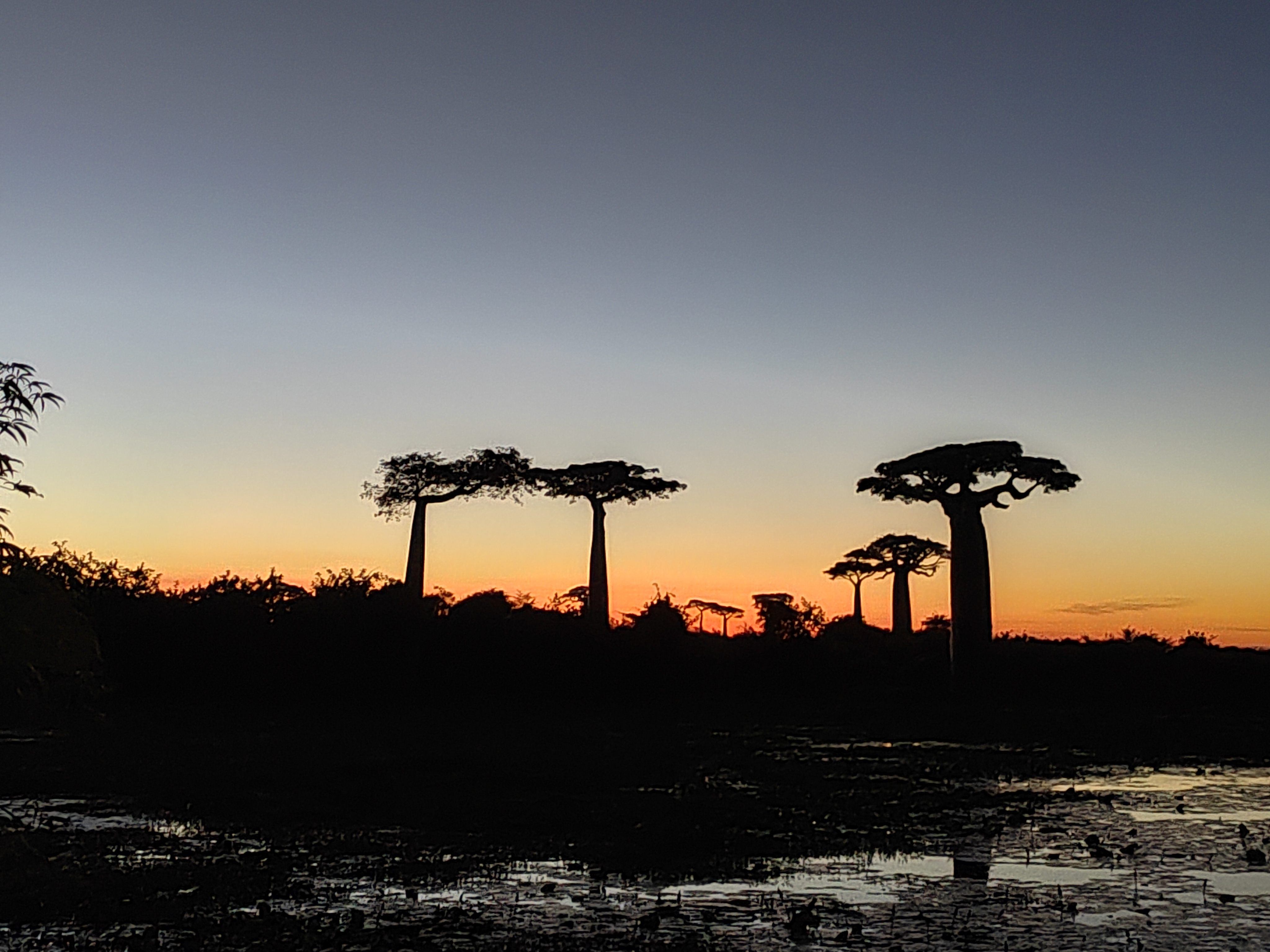 Мадагаскар: приключения на зелёном острове! Внутренние рейсы включены! (210/333)