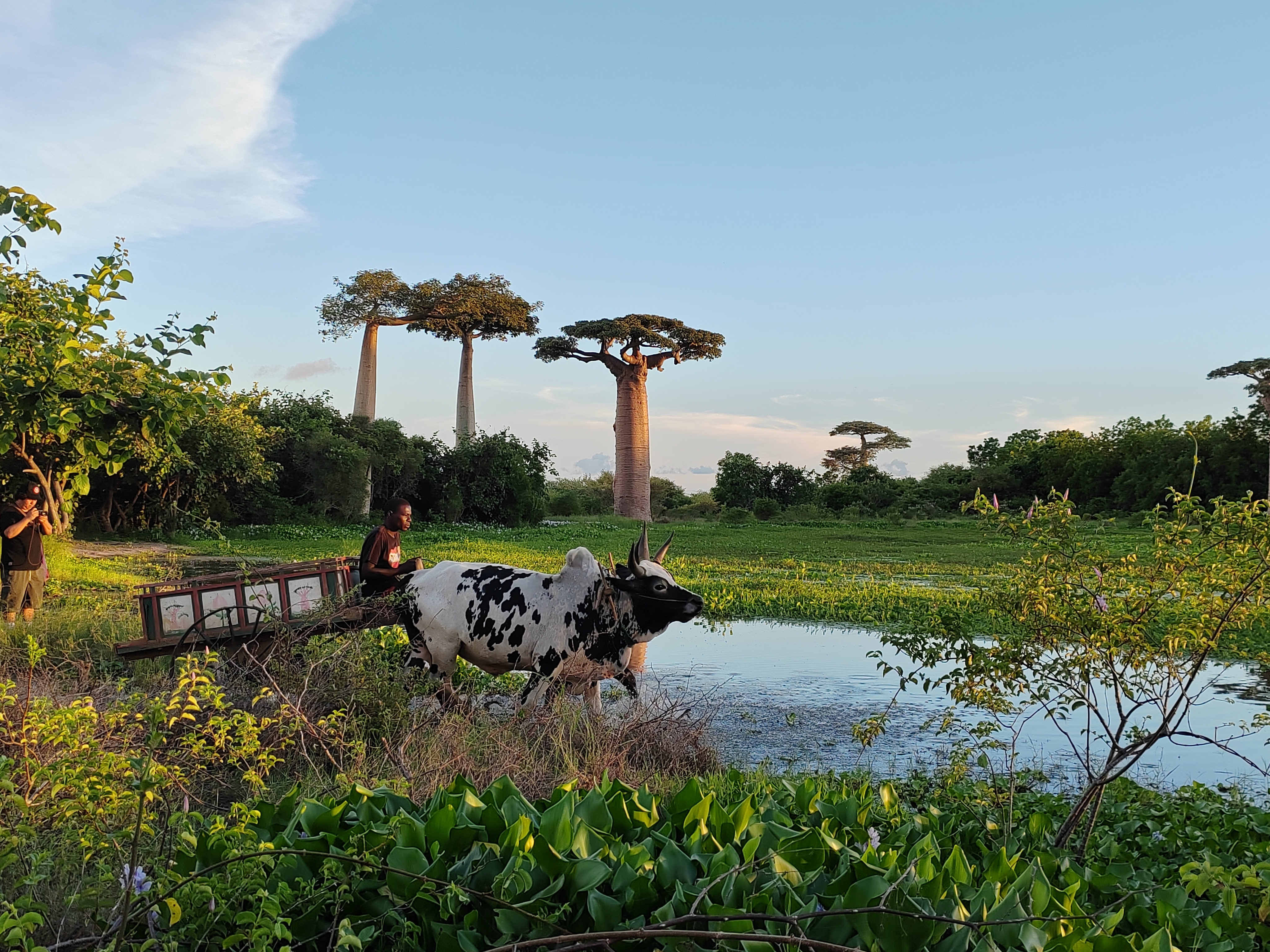 Мадагаскар: приключения на зелёном острове! Внутренние рейсы включены! (196/333)