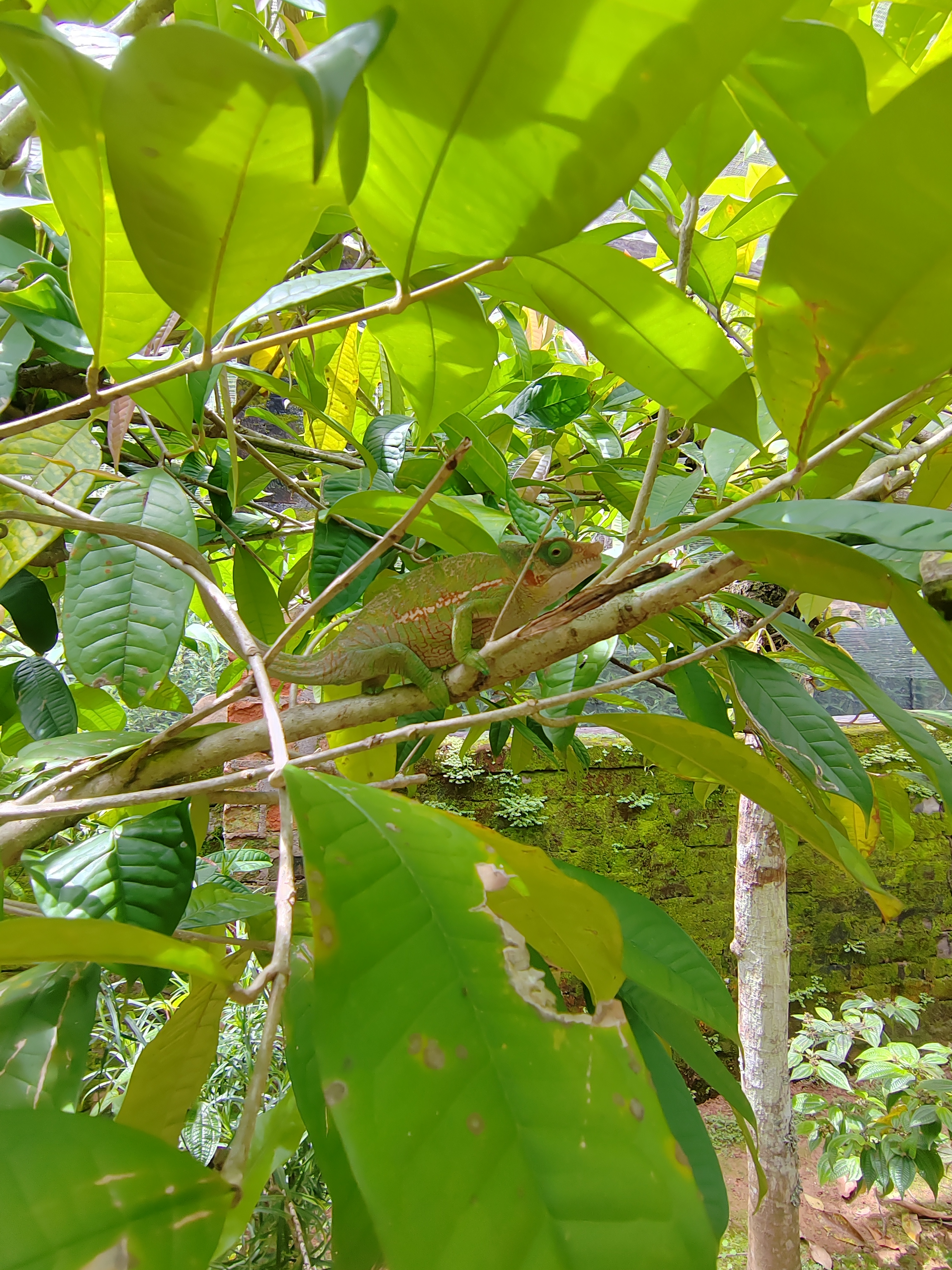 Мадагаскар: приключения на зелёном острове! Внутренние рейсы включены! (31/333)