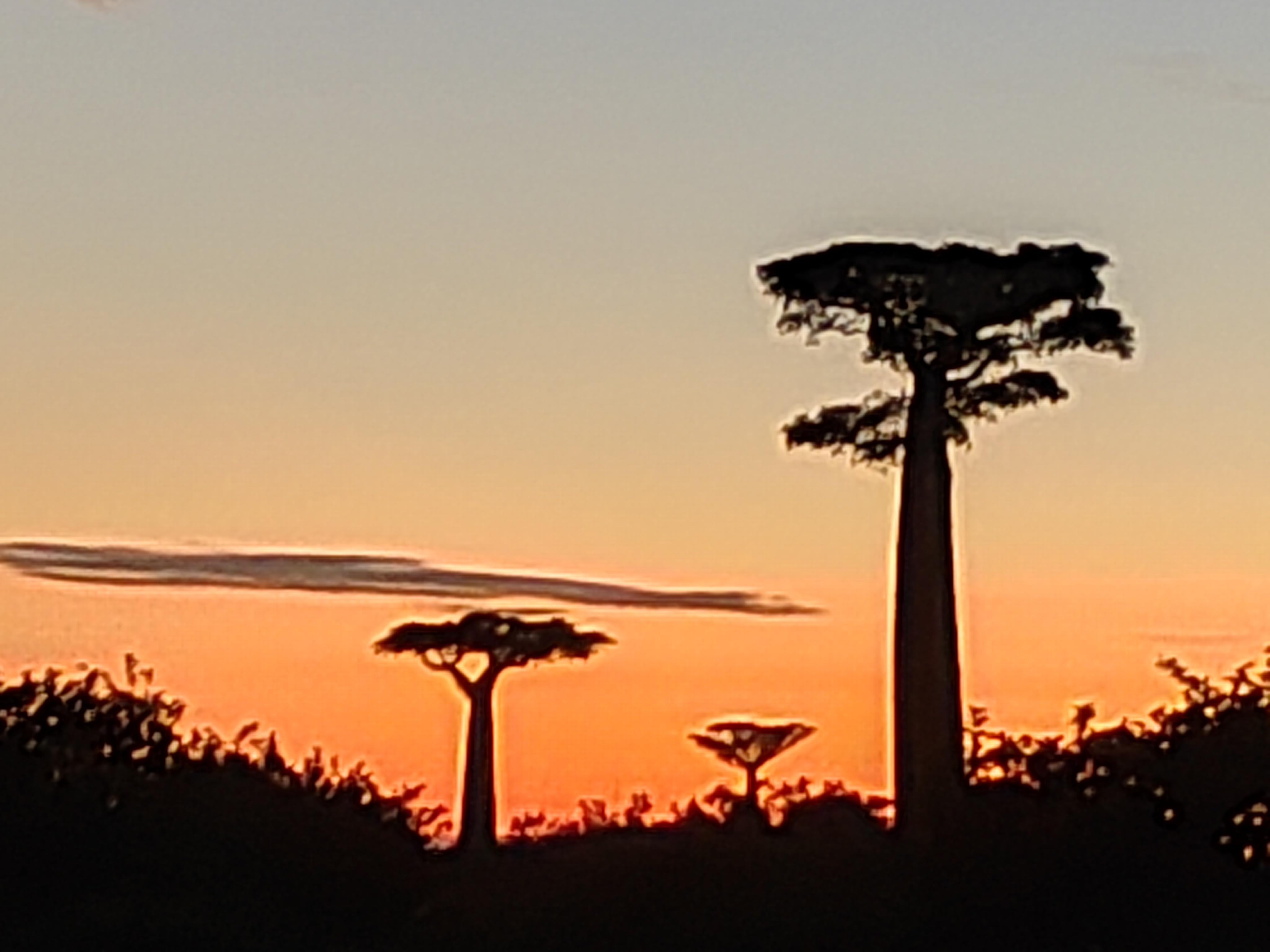 Мадагаскар: приключения на зелёном острове! Внутренние рейсы включены! (216/333)