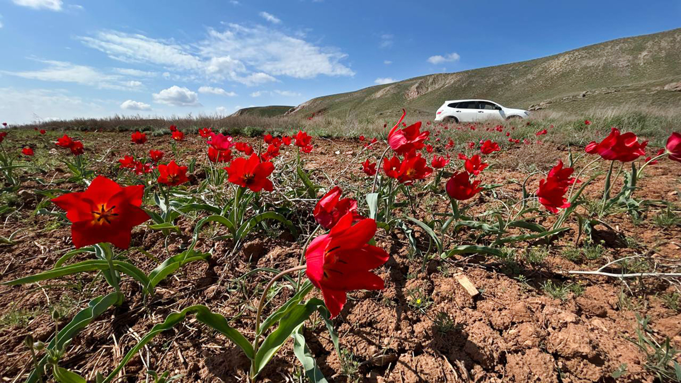 Луна и Марс: путешествие на Баскунчак и Богдо (8/8)