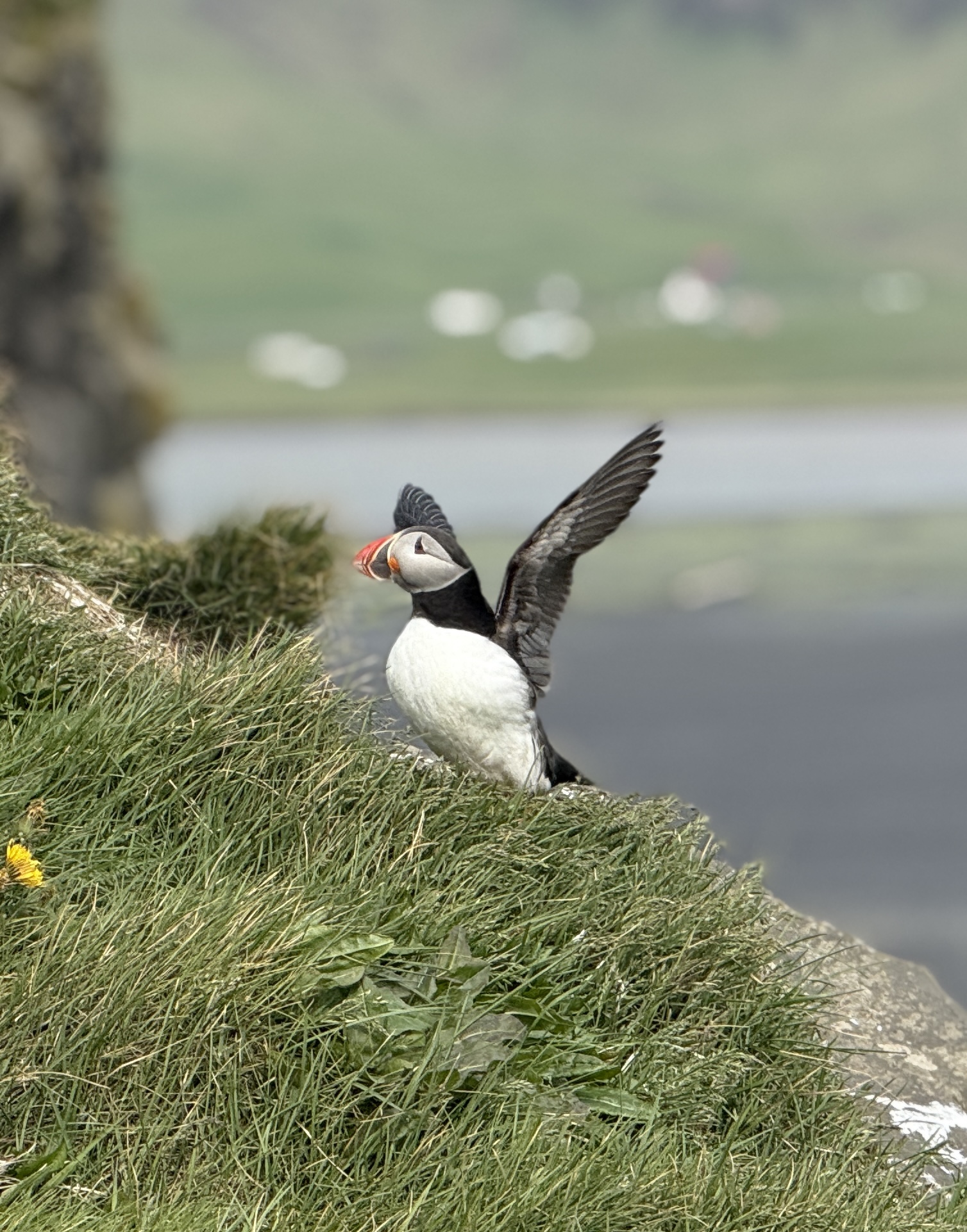 Кругосветка по Исландии (18/22)
