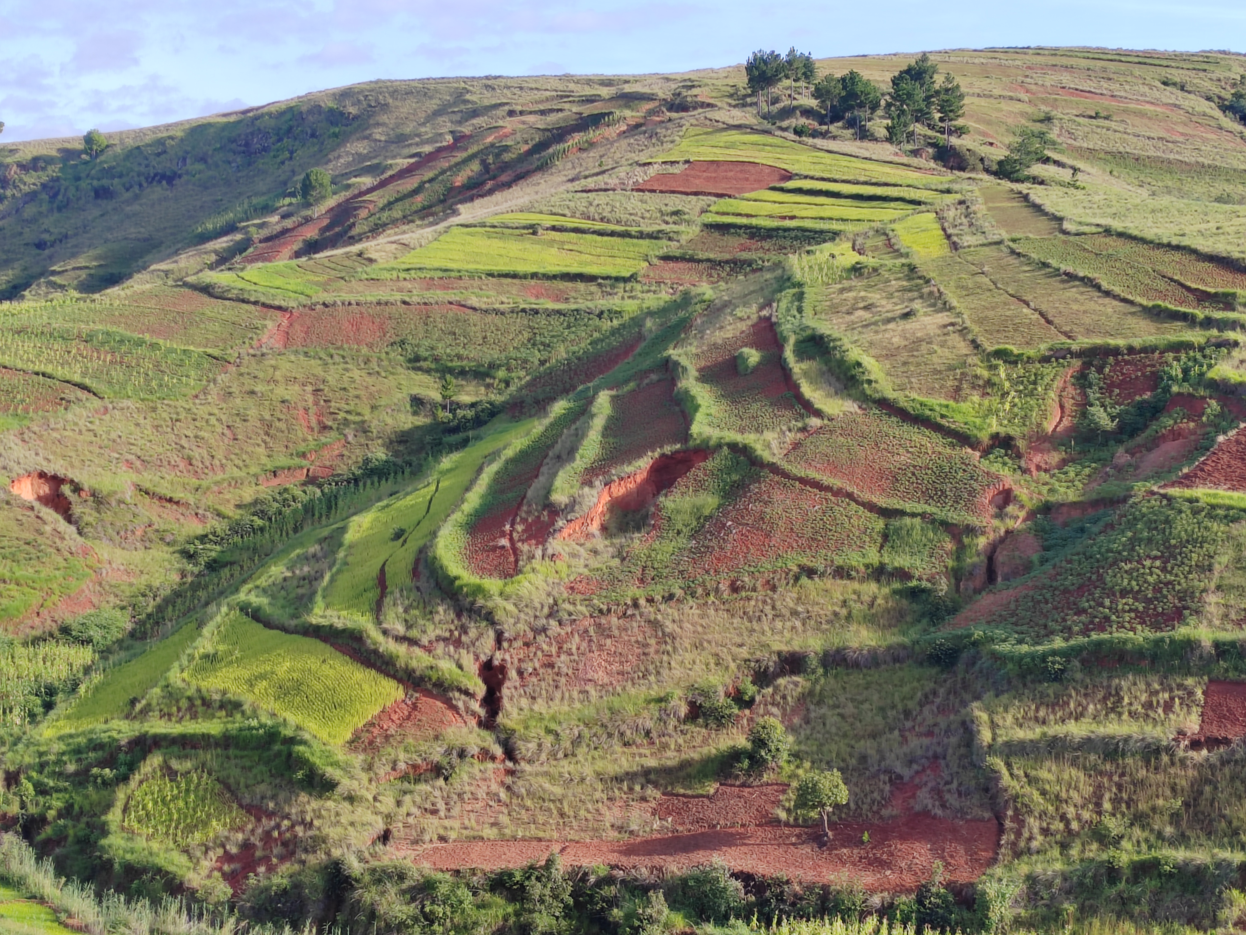 Мадагаскар: приключения на зелёном острове! Внутренние рейсы включены! (126/333)