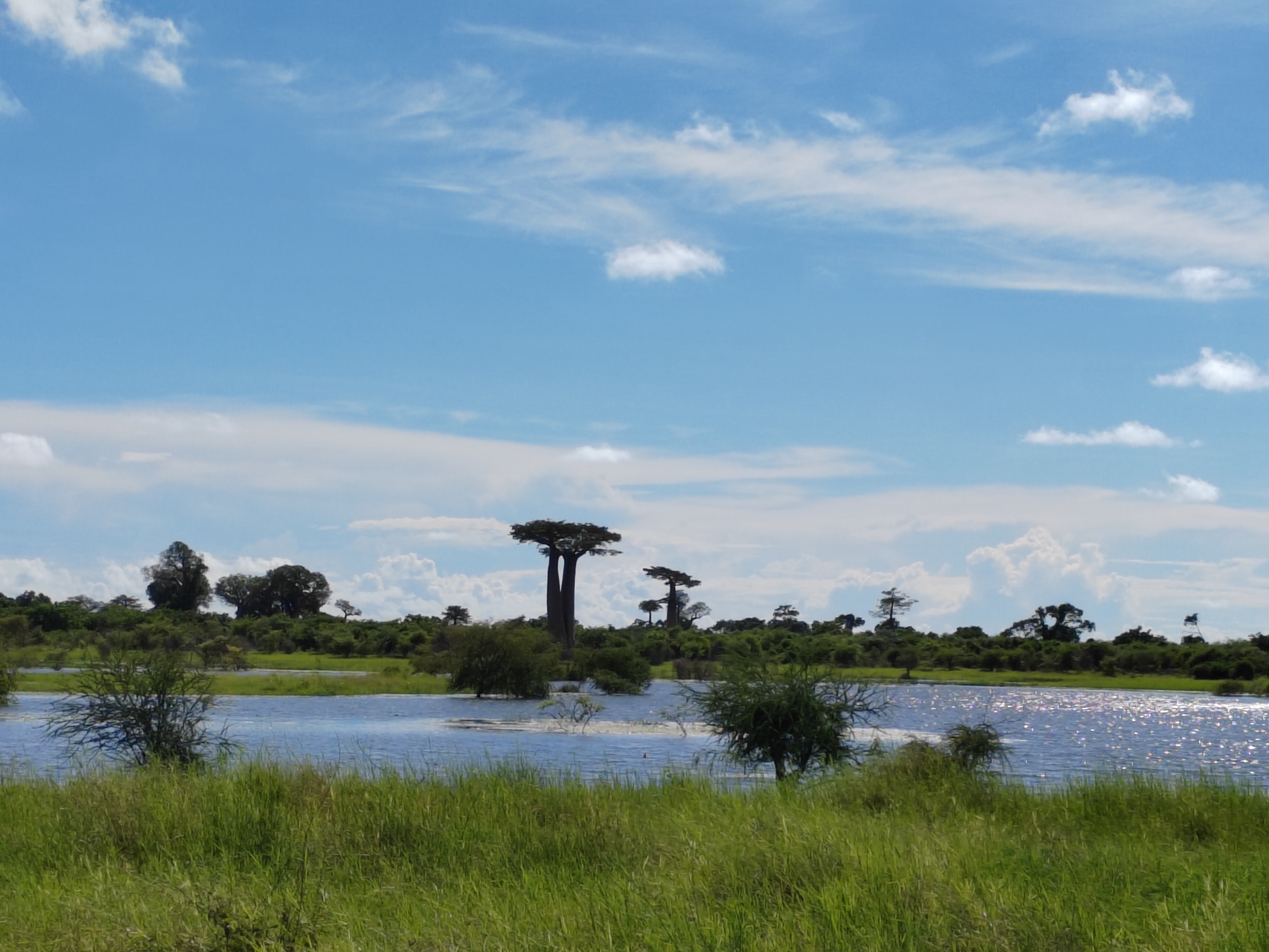 Мадагаскар: приключения на зелёном острове! Внутренние рейсы включены! (154/333)