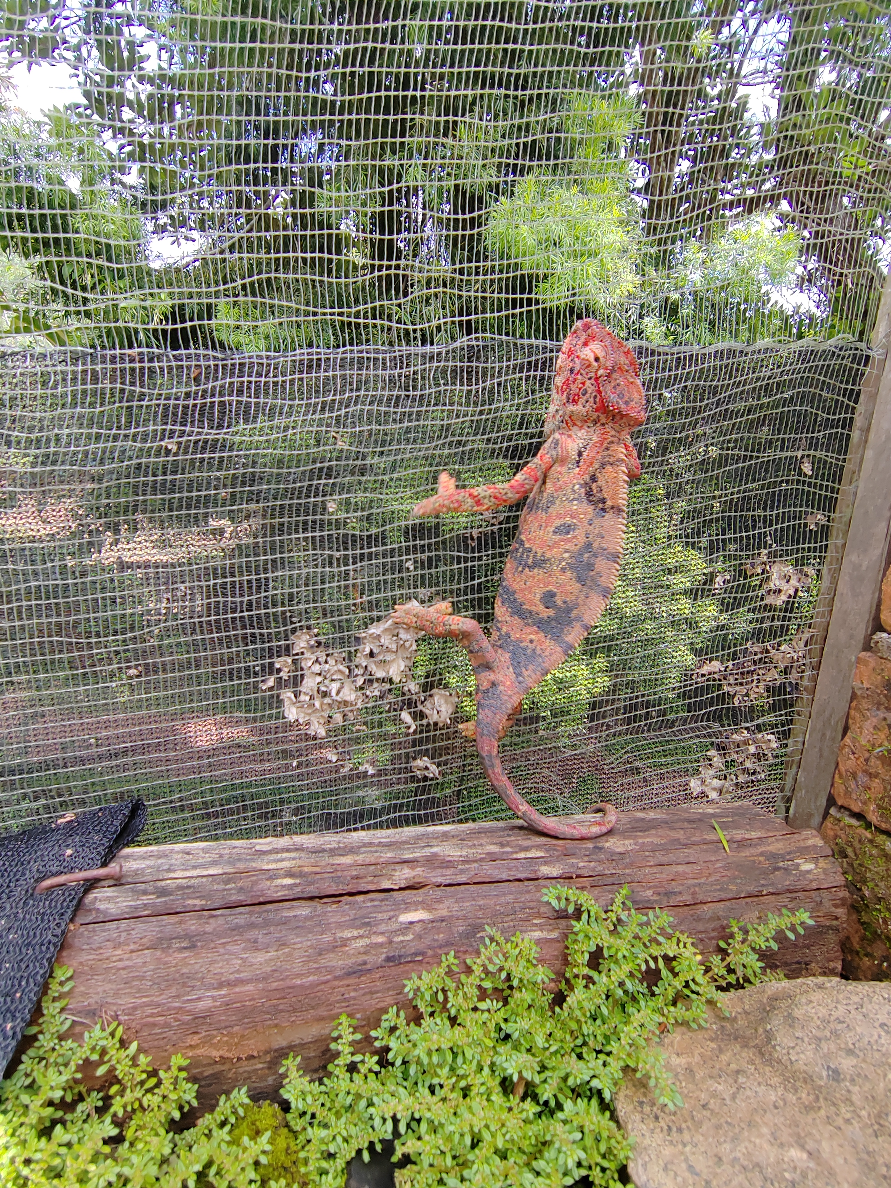 Мадагаскар: приключения на зелёном острове! Внутренние рейсы включены! (37/333)