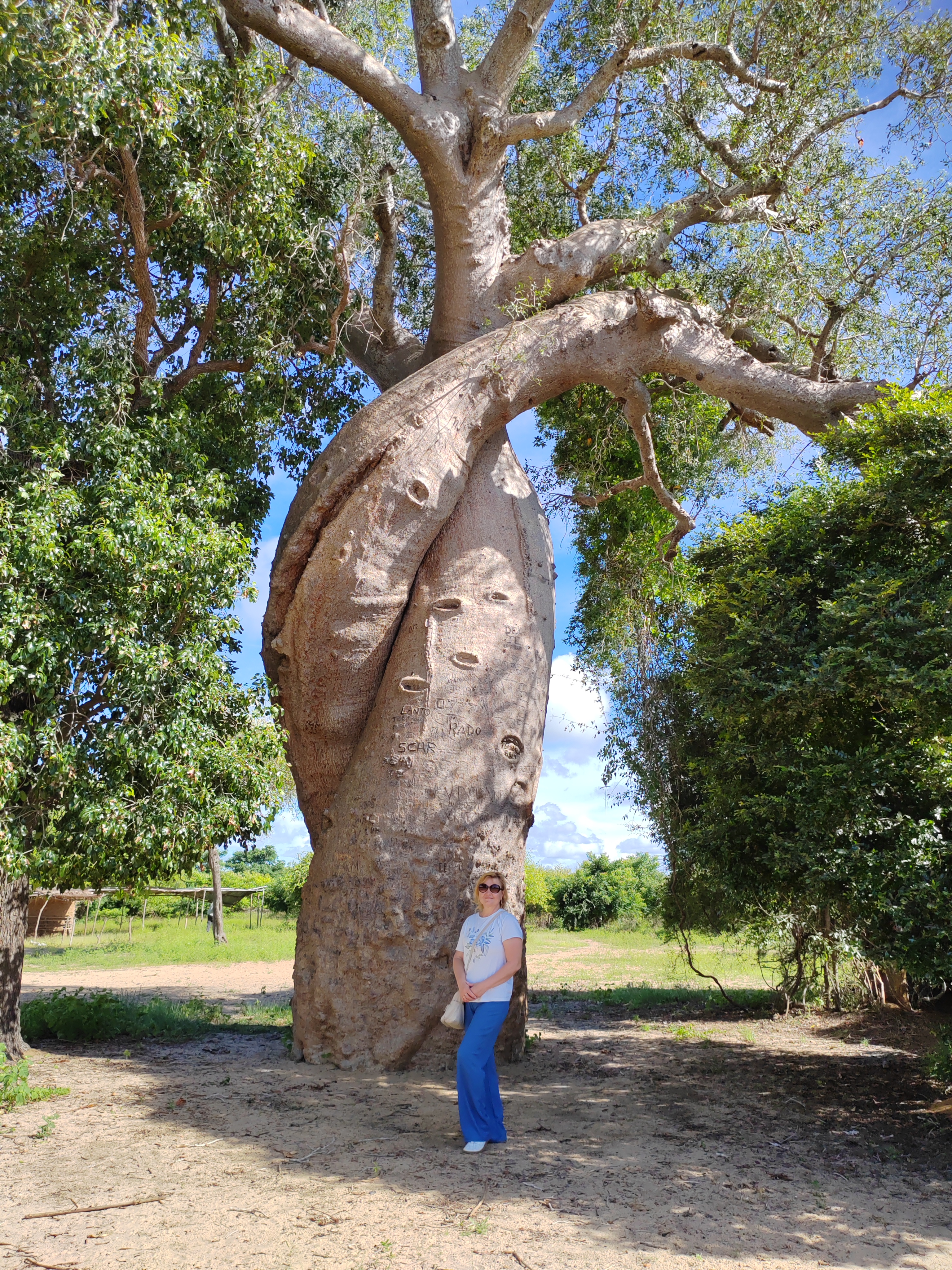 Мадагаскар: приключения на зелёном острове! Внутренние рейсы включены! (158/333)