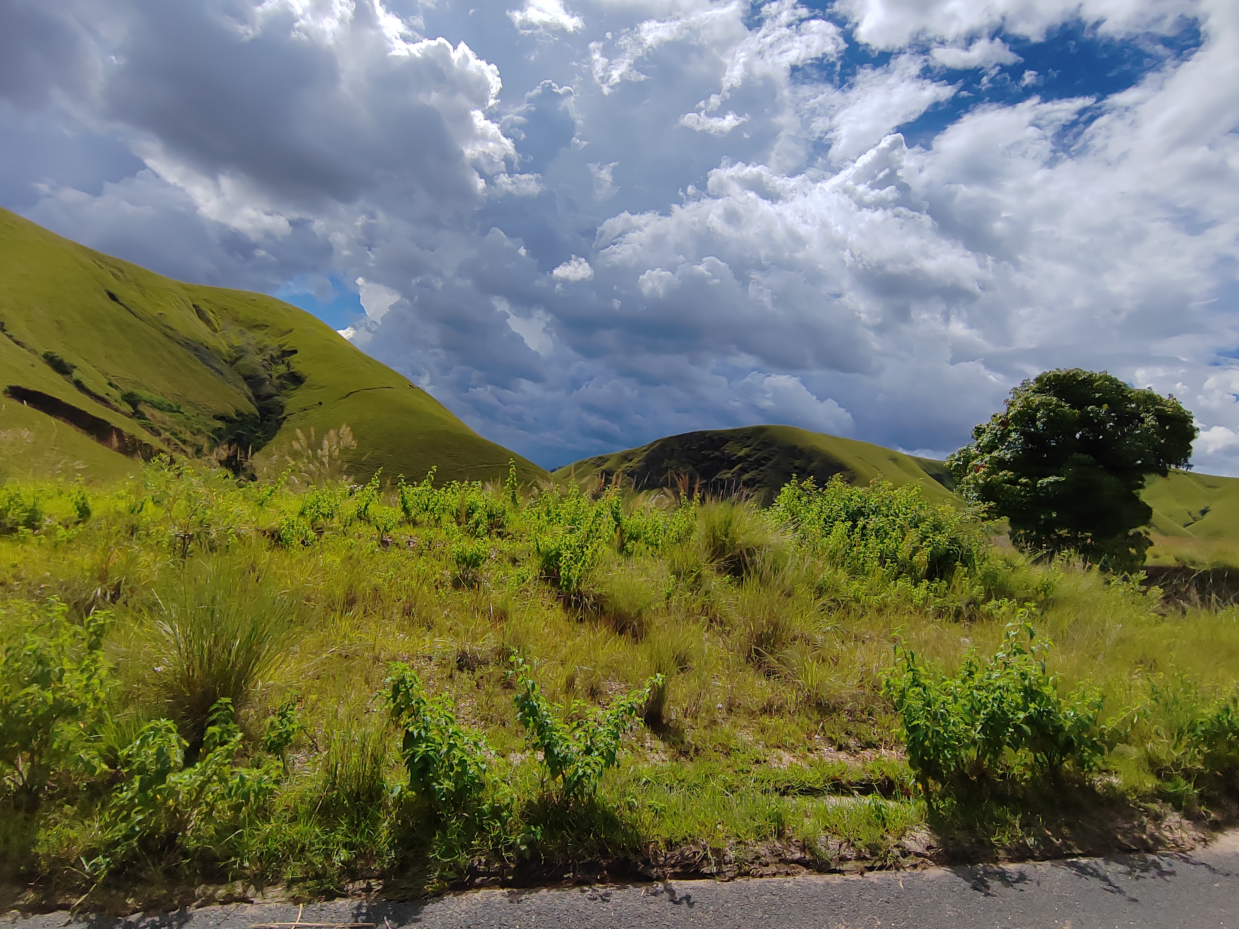 Мадагаскар: приключения на зелёном острове! Внутренние рейсы включены! (246/333)