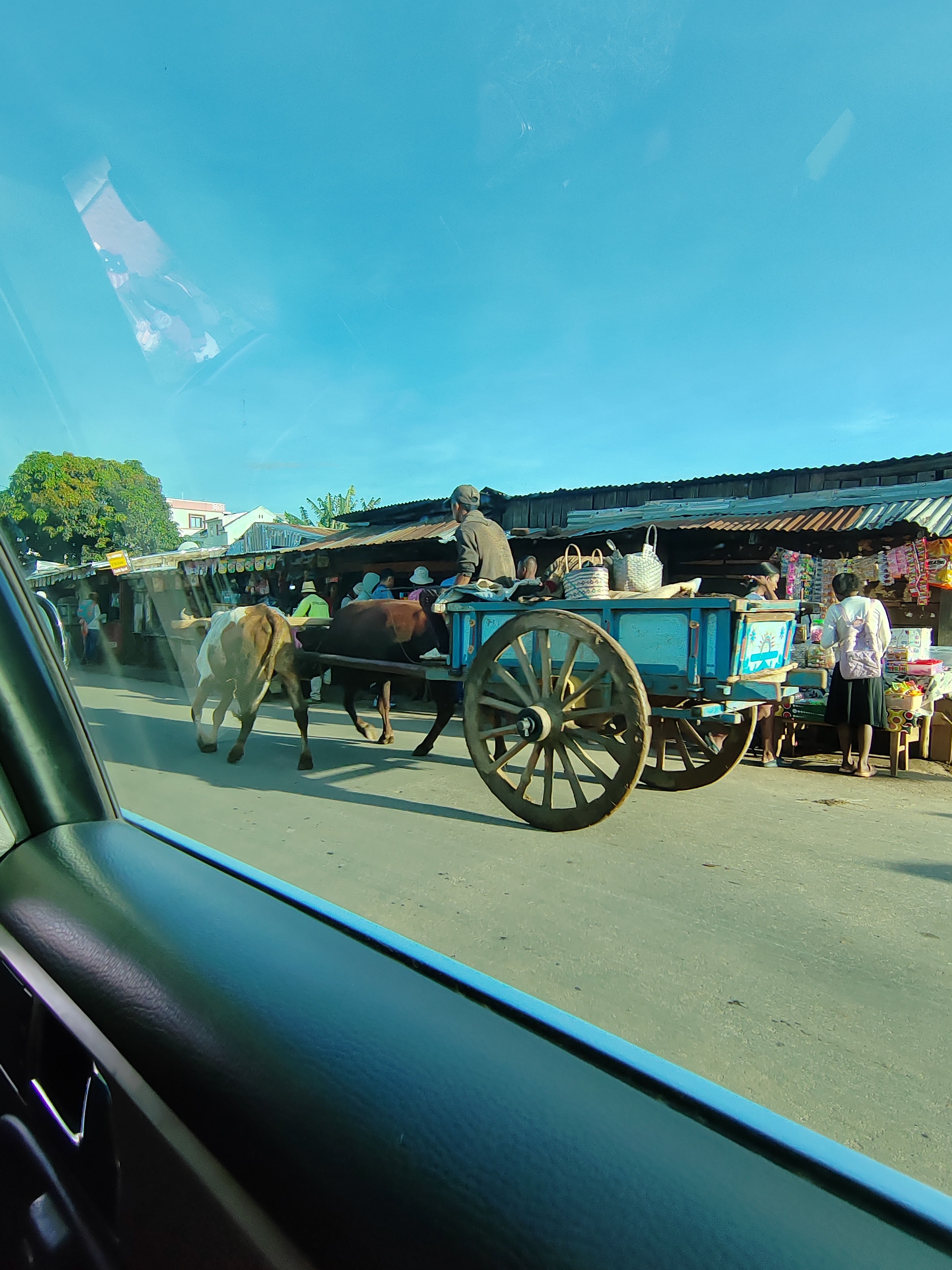 Мадагаскар: приключения на зелёном острове! Внутренние рейсы включены! (115/333)