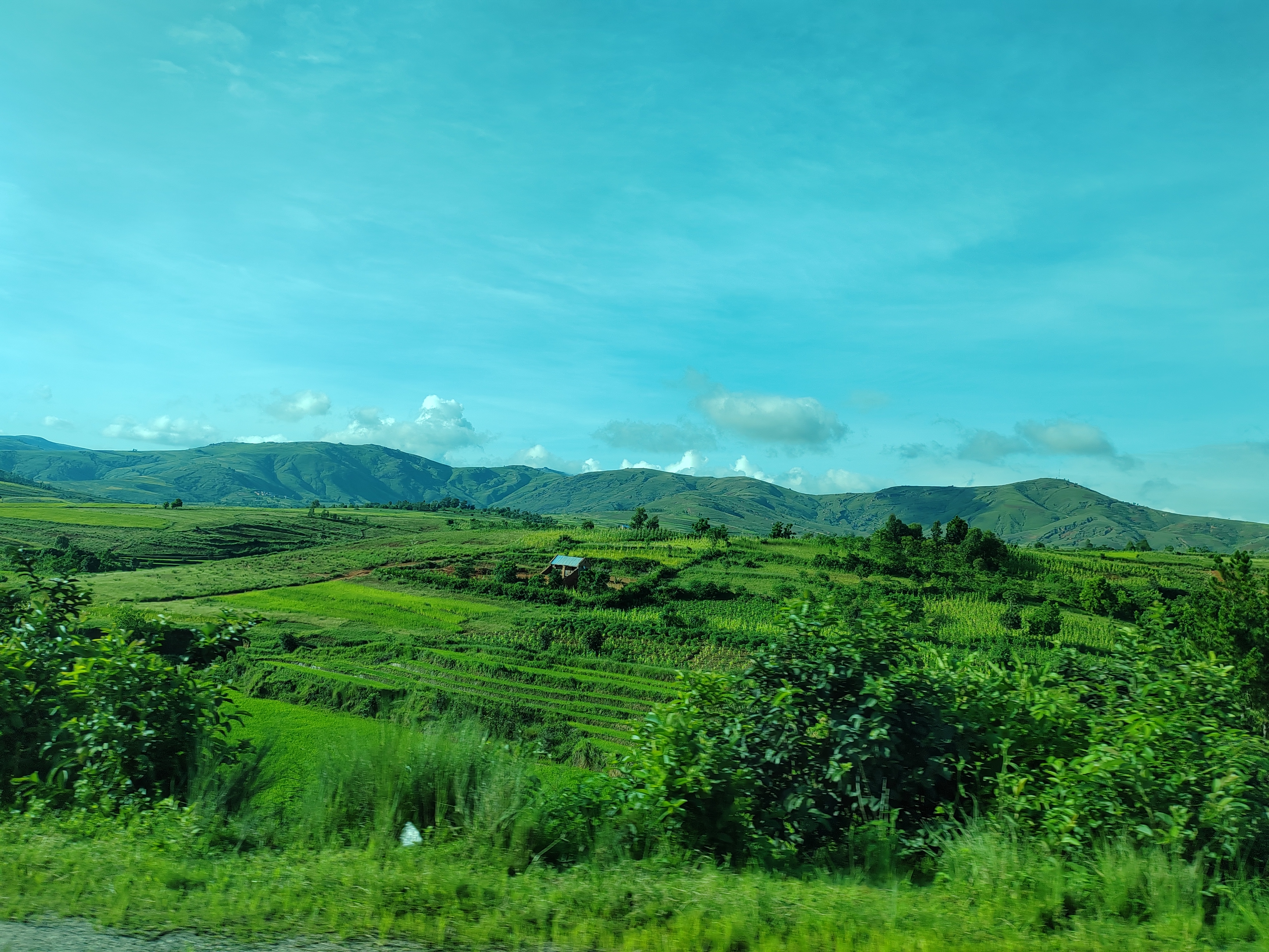Мадагаскар: приключения на зелёном острове! Внутренние рейсы включены! (123/333)