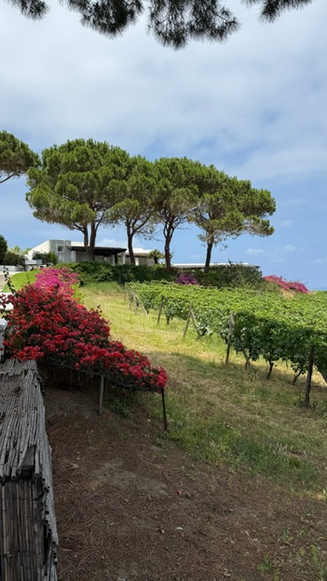 Яхтинг по Сицилии и Липарским островам (15/27)