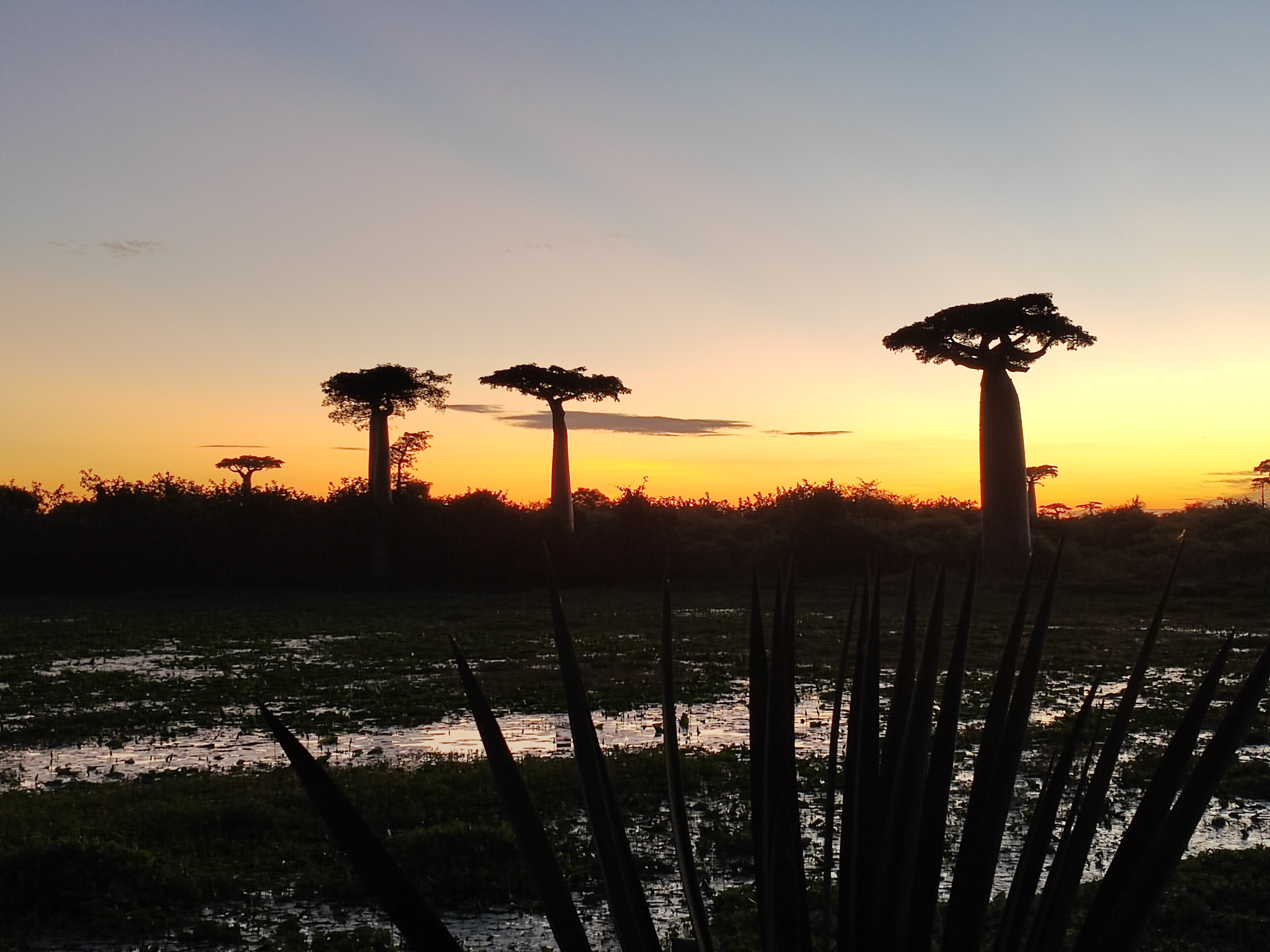 Мадагаскар: приключения на зелёном острове! Внутренние рейсы включены! (230/333)