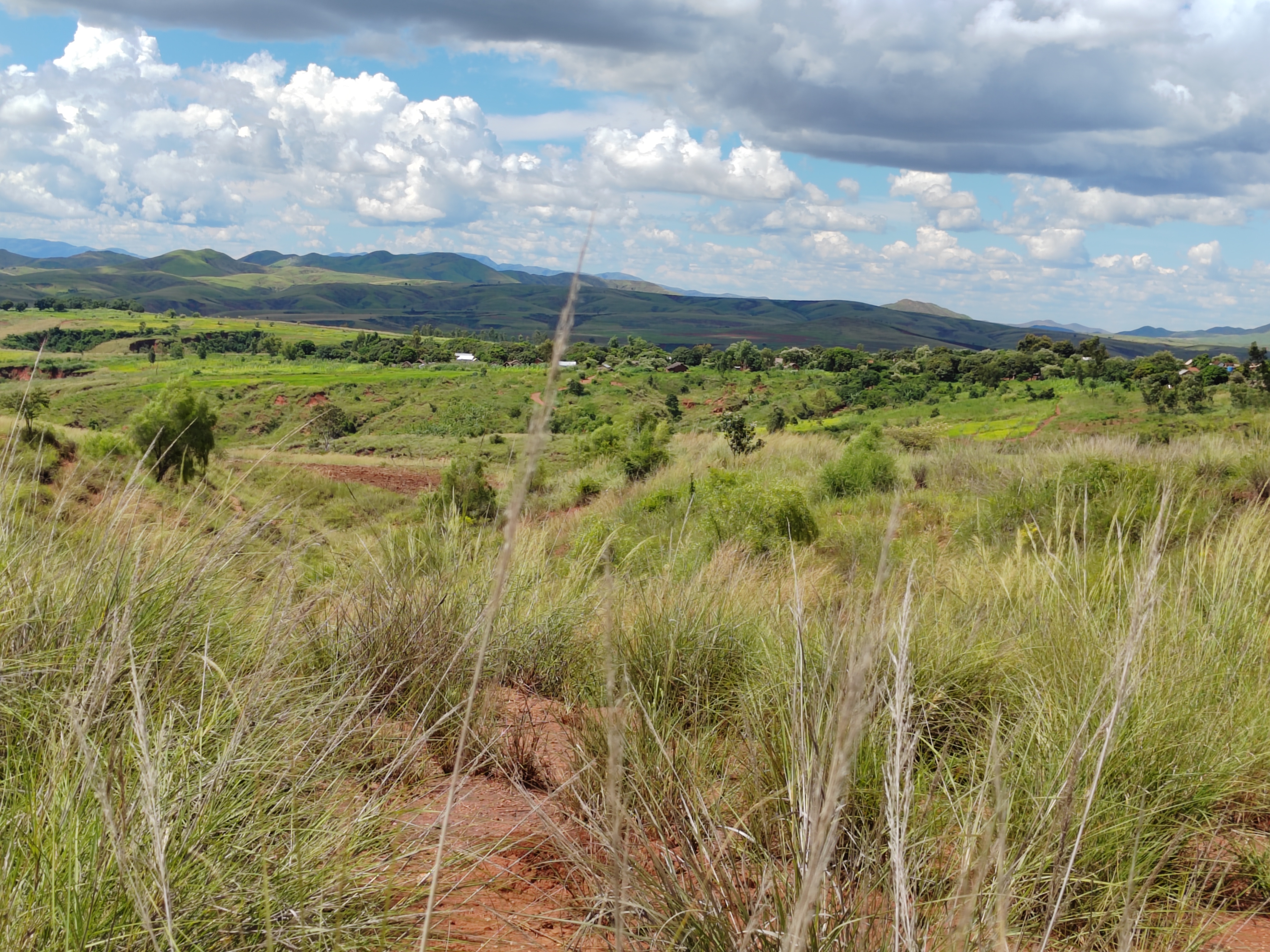 Мадагаскар: приключения на зелёном острове! Внутренние рейсы включены! (235/333)