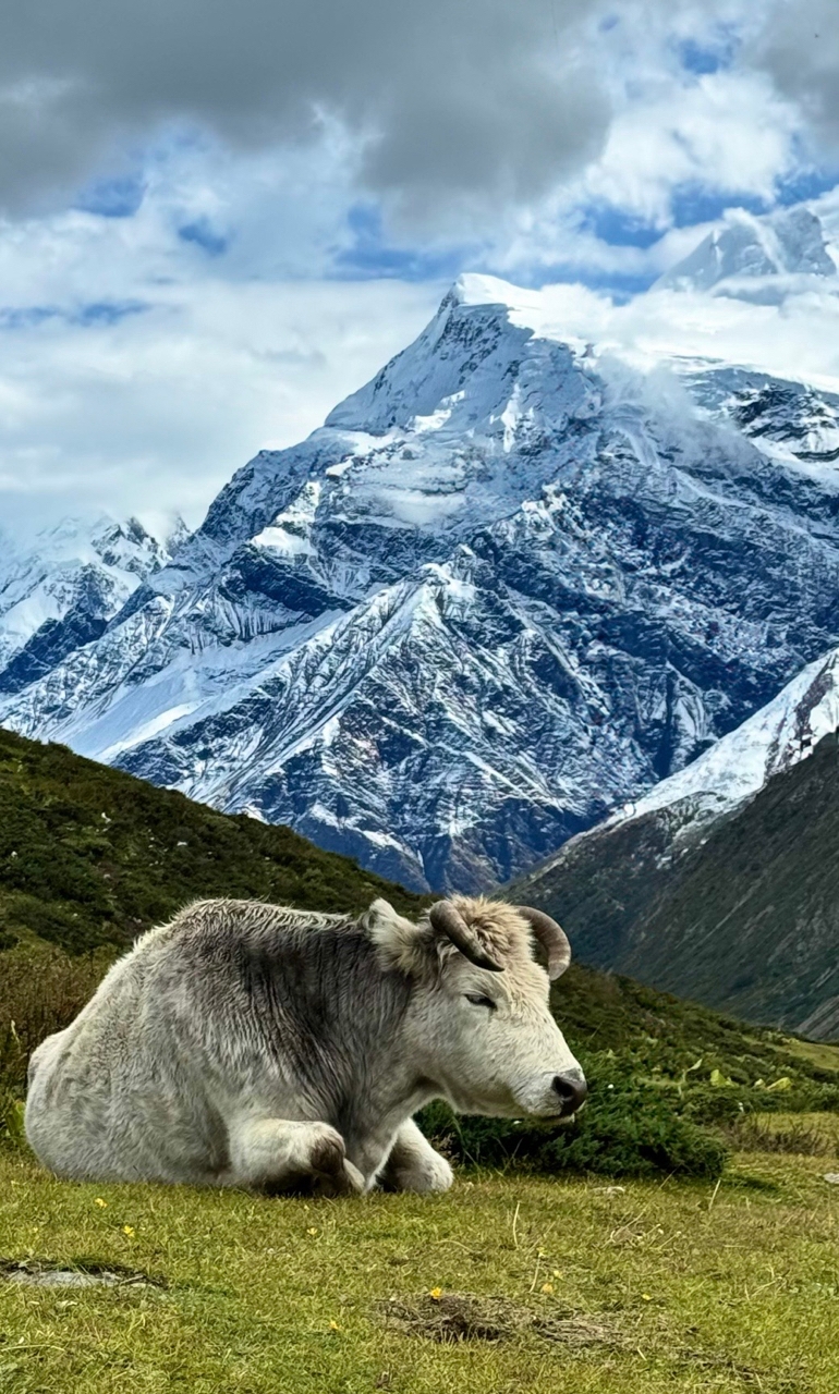 Кольцо Аннапурны и озеро Тиличо один трек, все миры. (6/17)