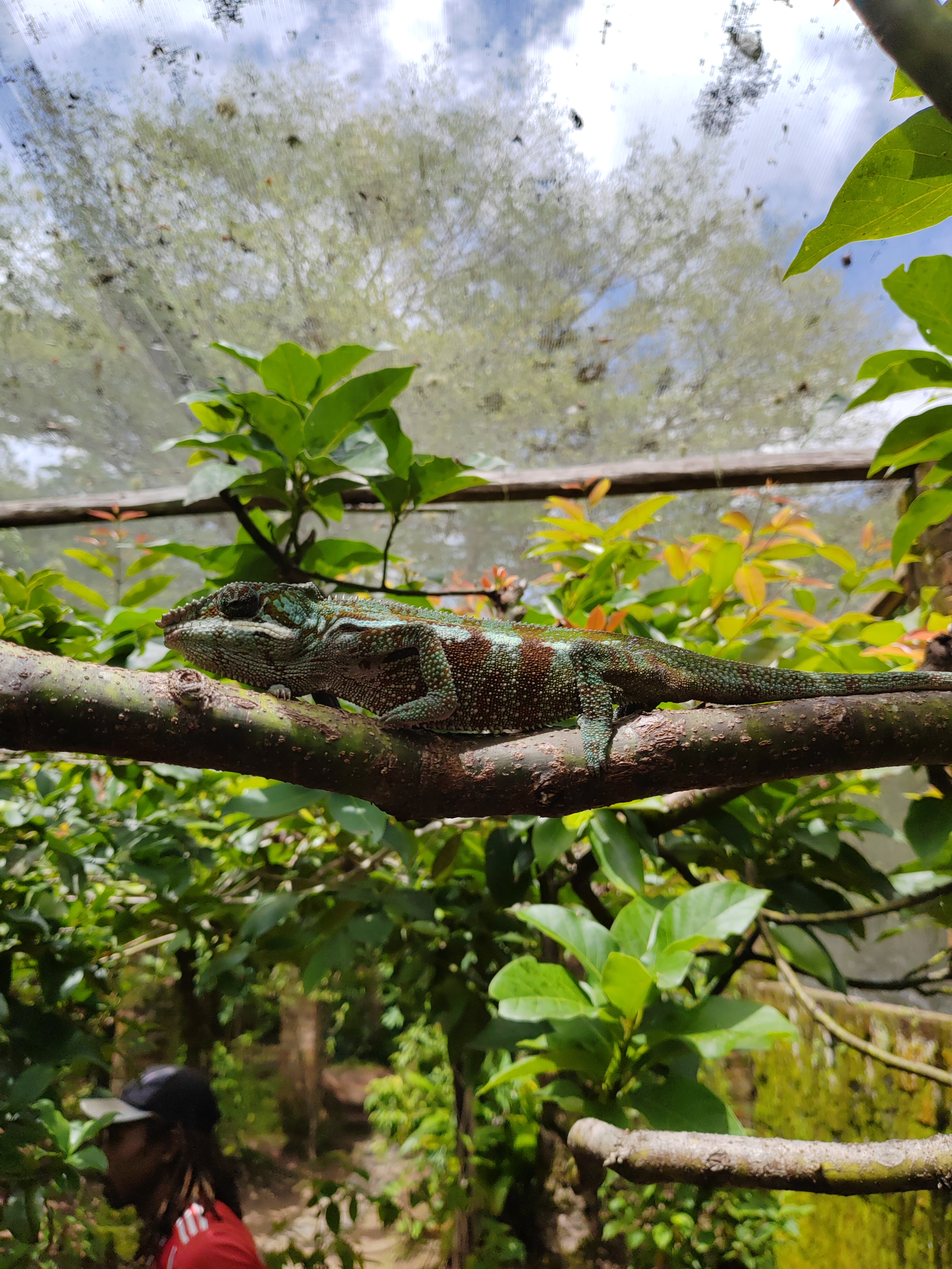 Мадагаскар: приключения на зелёном острове! Внутренние рейсы включены! (44/333)