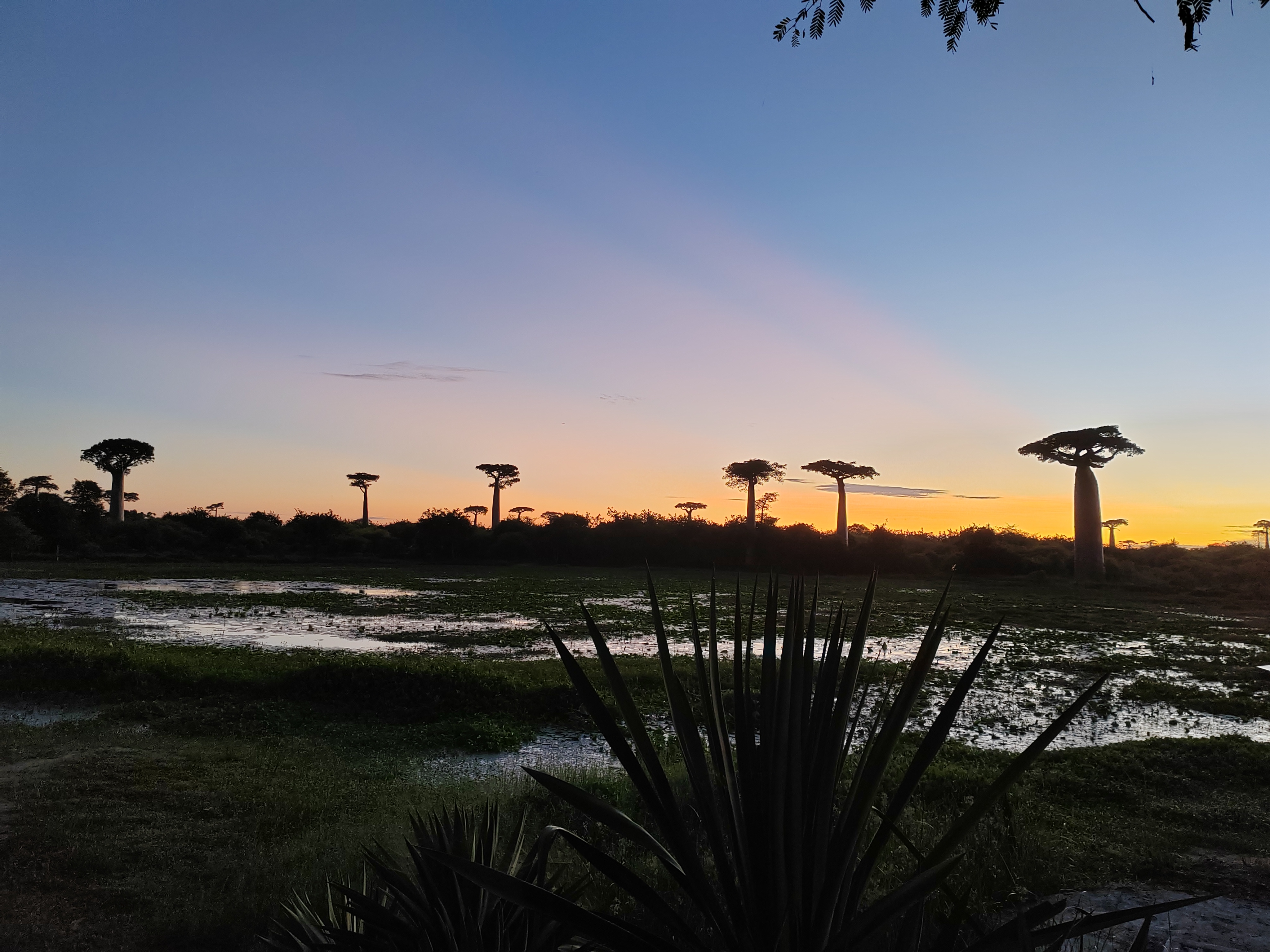 Мадагаскар: приключения на зелёном острове! Внутренние рейсы включены! (224/333)