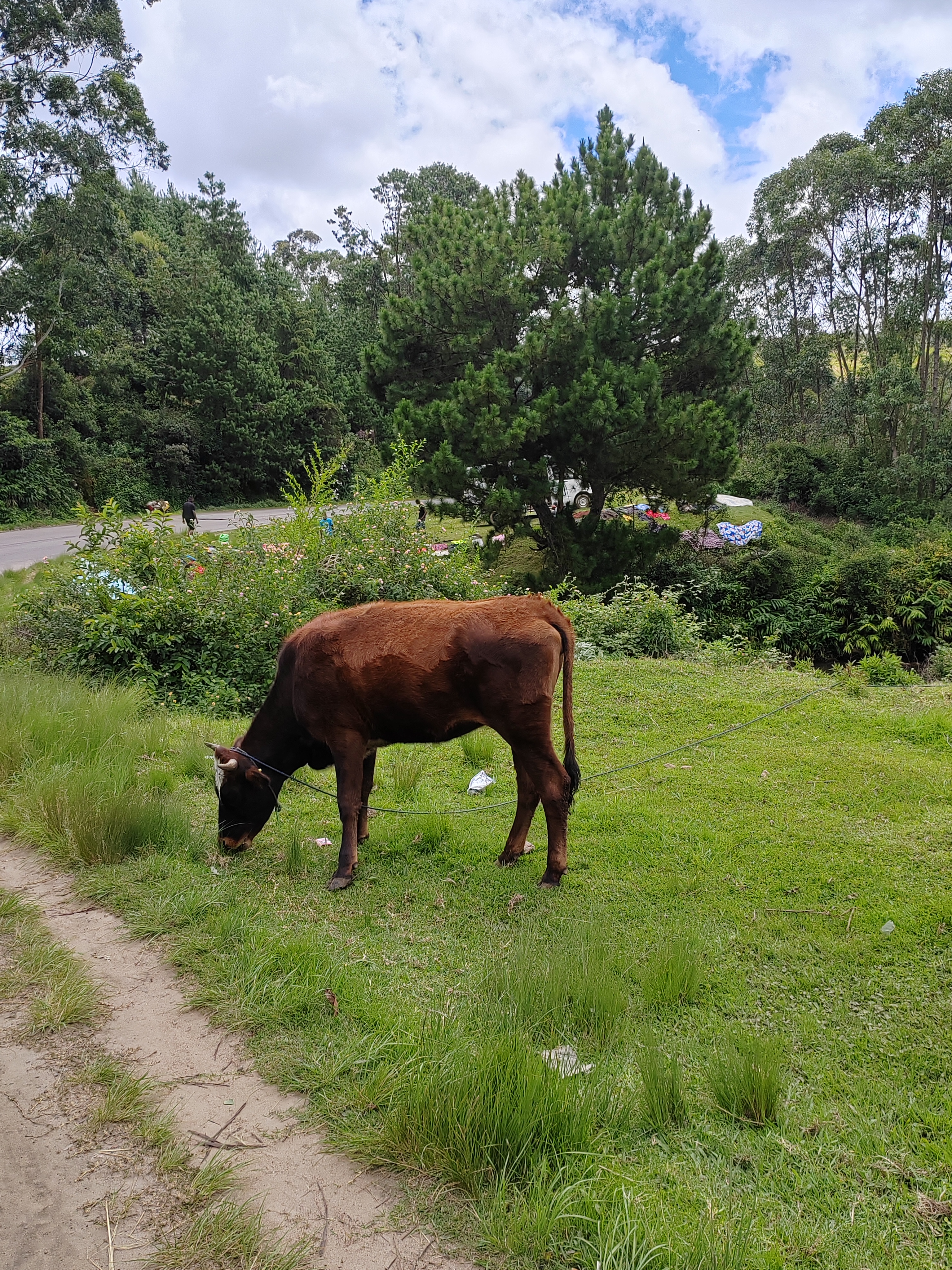 Мадагаскар: приключения на зелёном острове! Внутренние рейсы включены! (108/333)