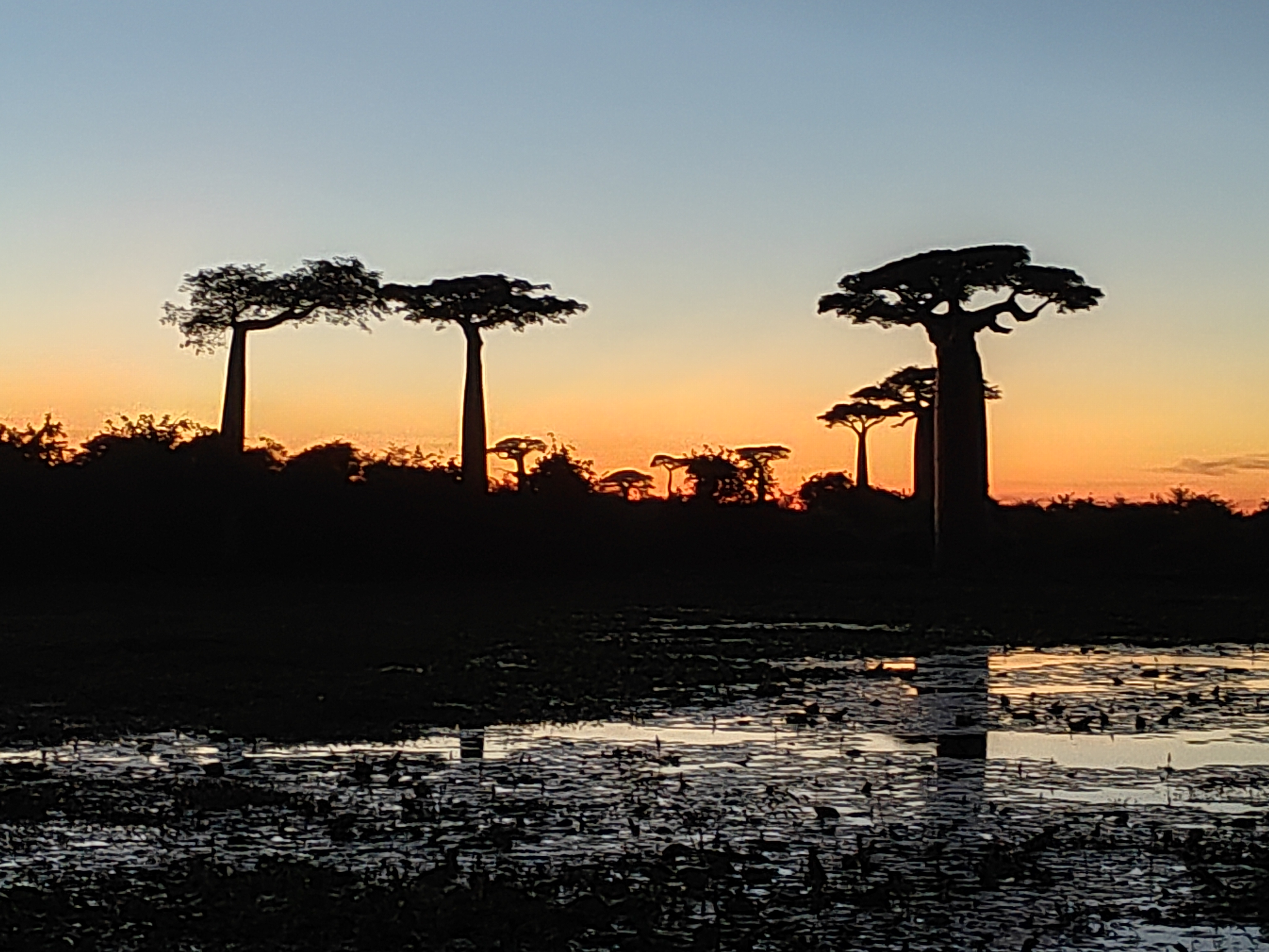 Мадагаскар: приключения на зелёном острове! Внутренние рейсы включены! (220/333)