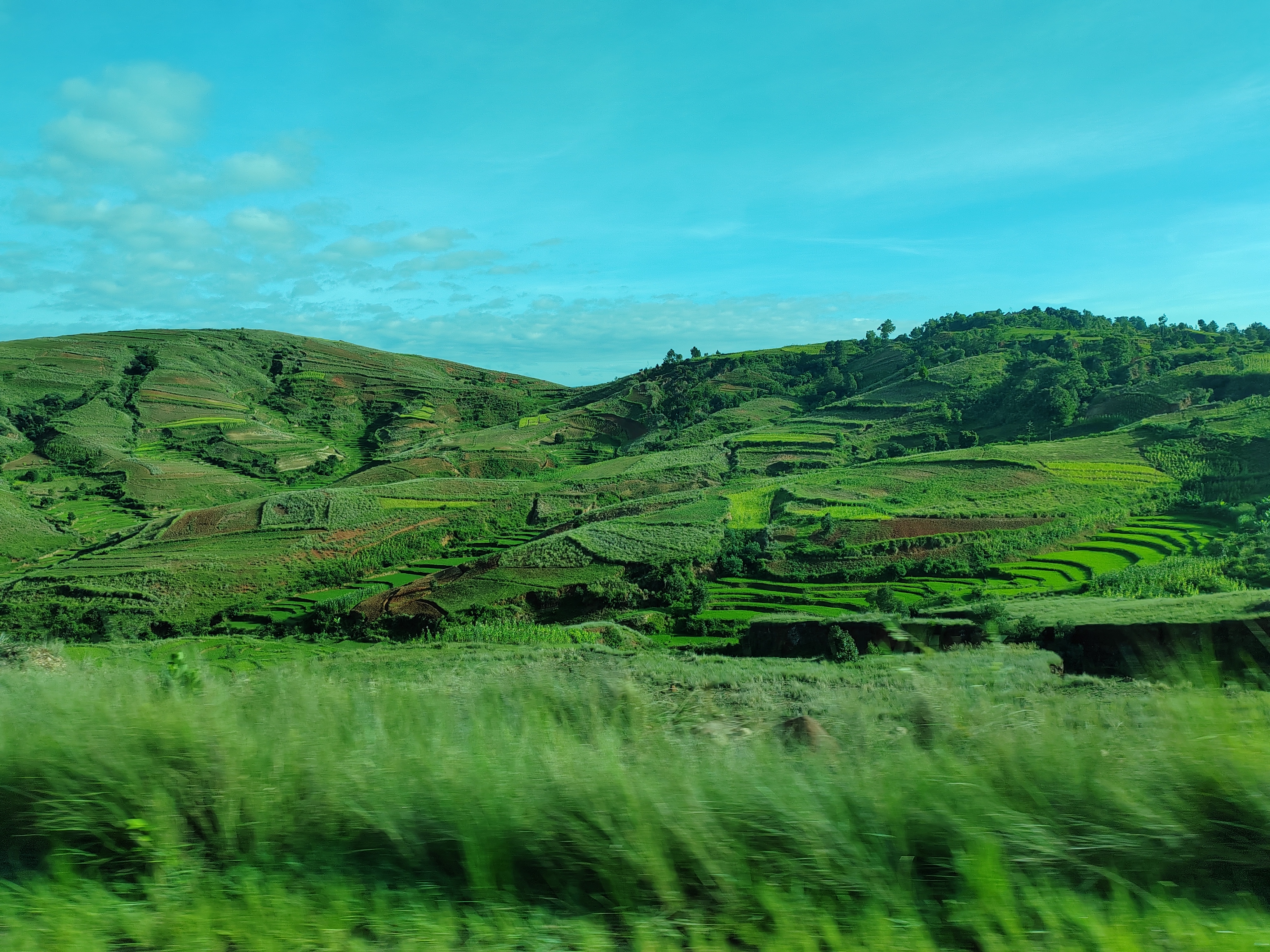 Мадагаскар: приключения на зелёном острове! Внутренние рейсы включены! (124/333)