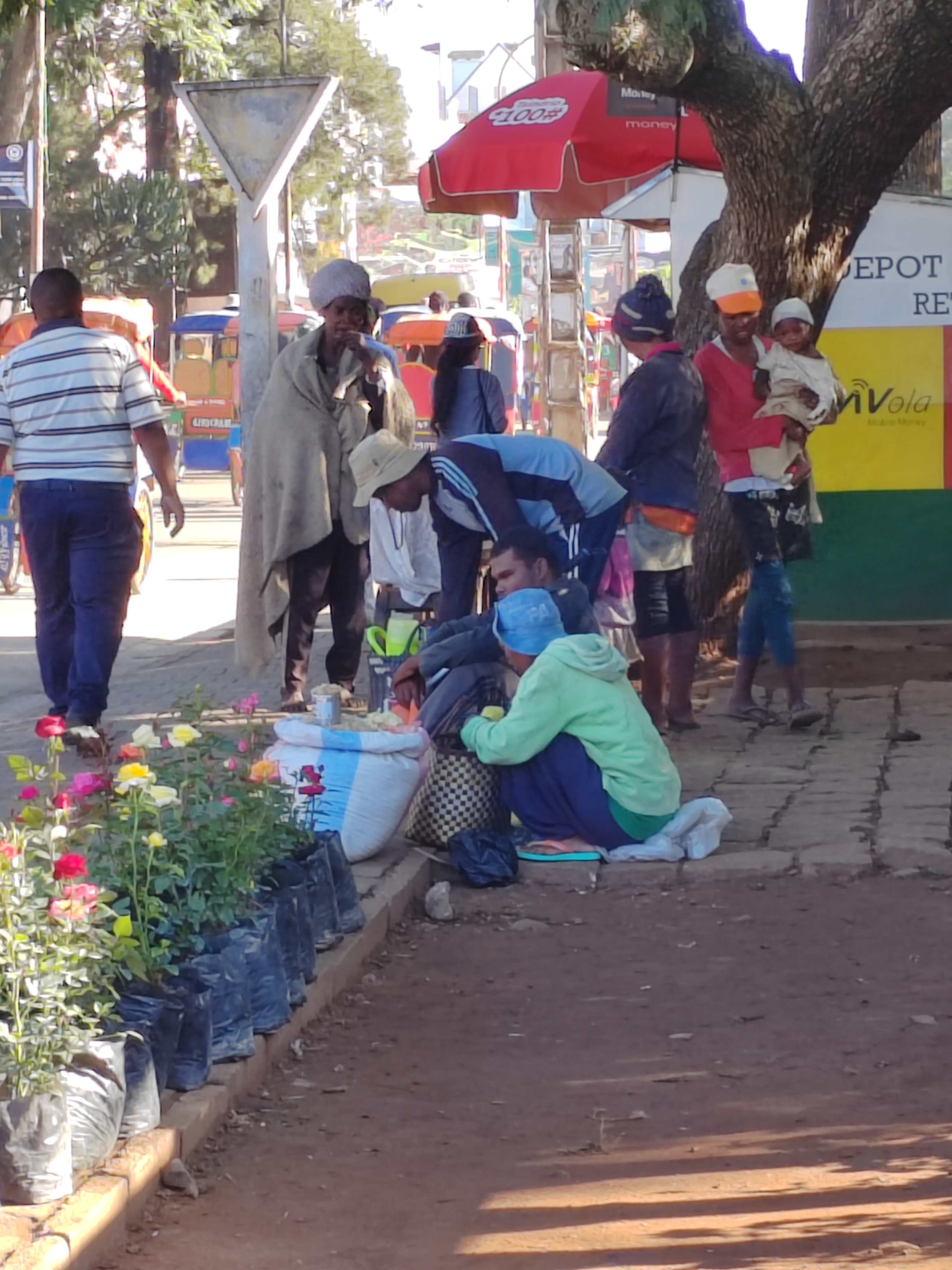 Мадагаскар: приключения на зелёном острове! Внутренние рейсы включены! (271/333)