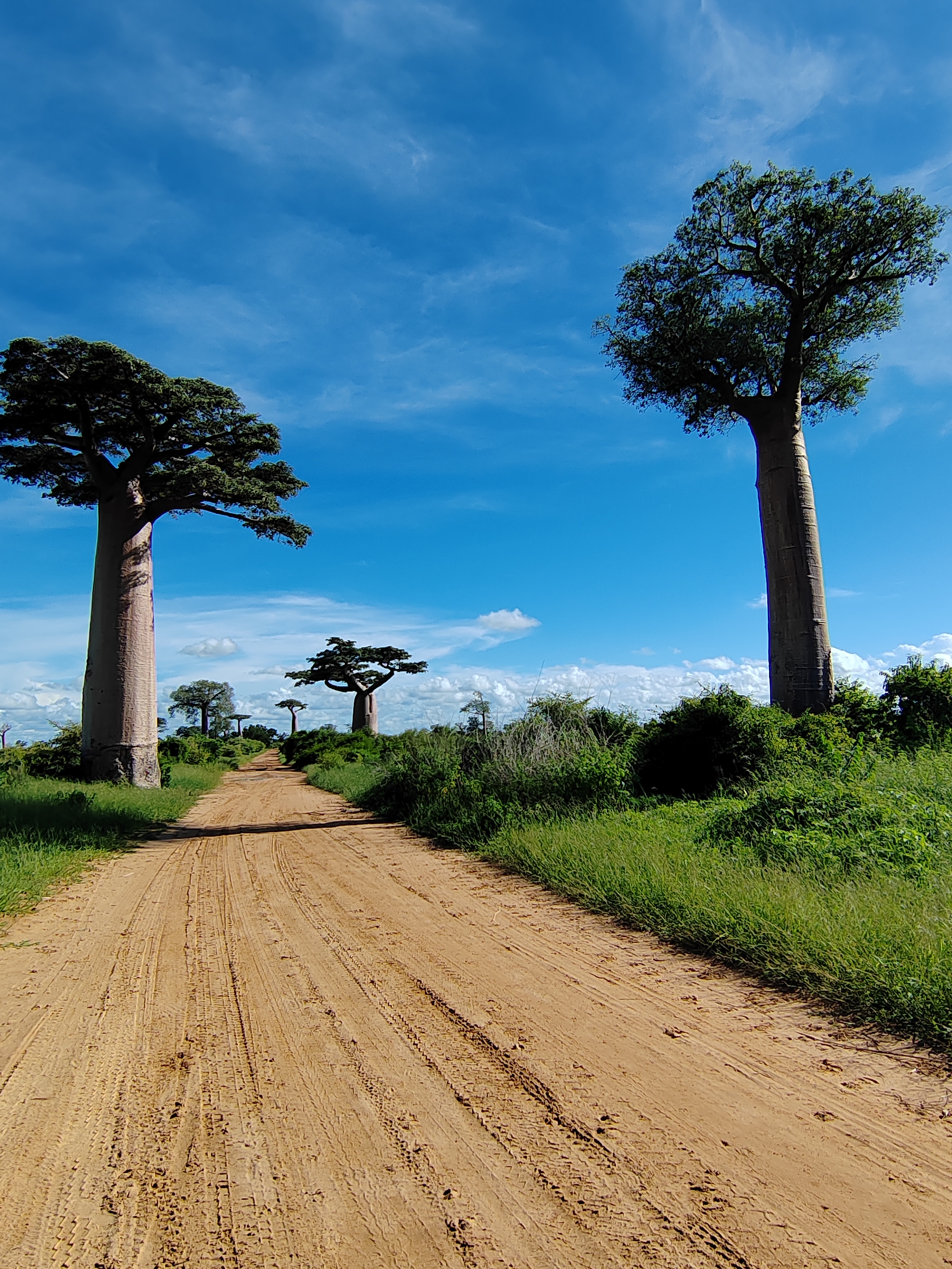 Мадагаскар: приключения на зелёном острове! Внутренние рейсы включены! (167/333)