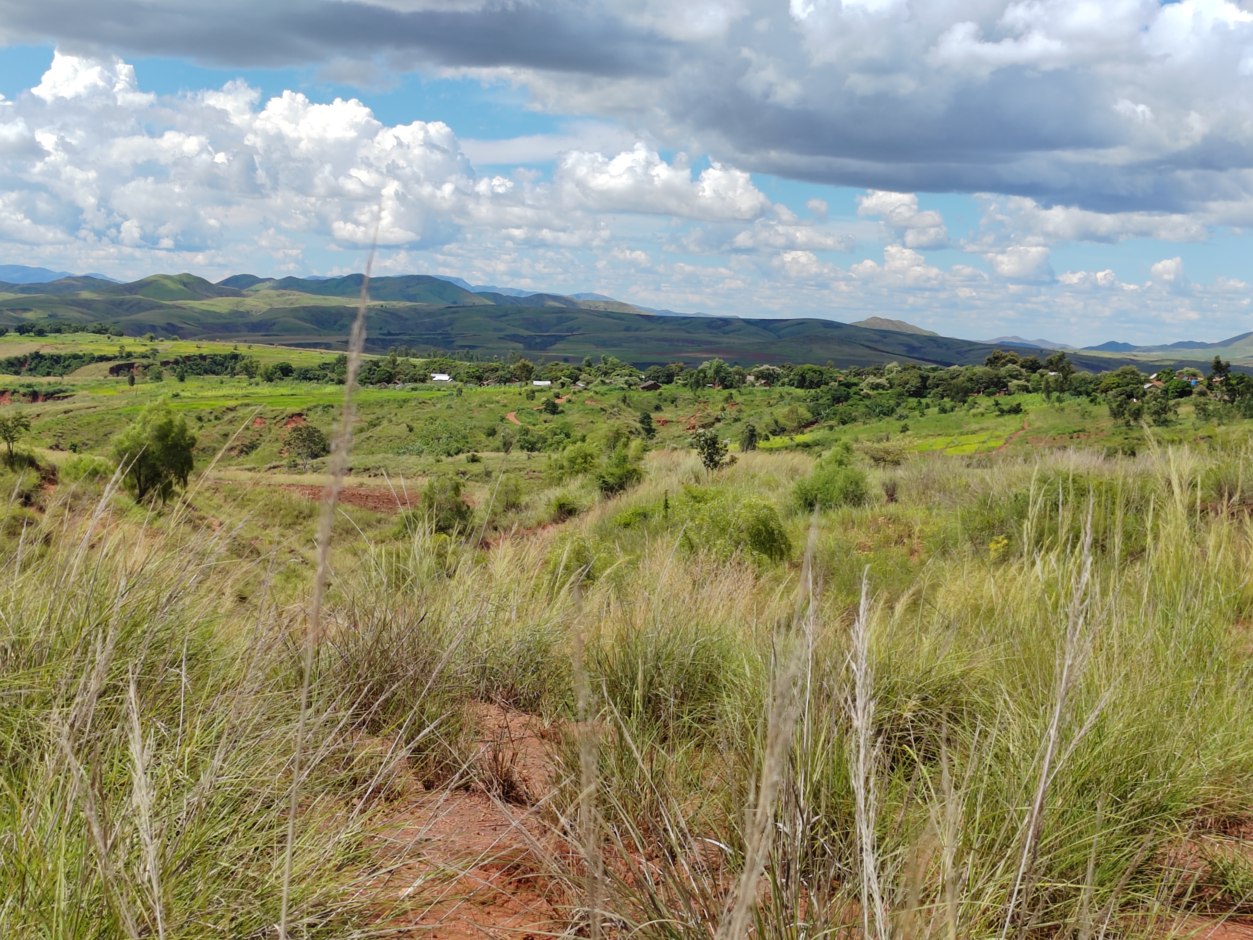 Мадагаскар: приключения на зелёном острове! Внутренние рейсы включены! (236/333)