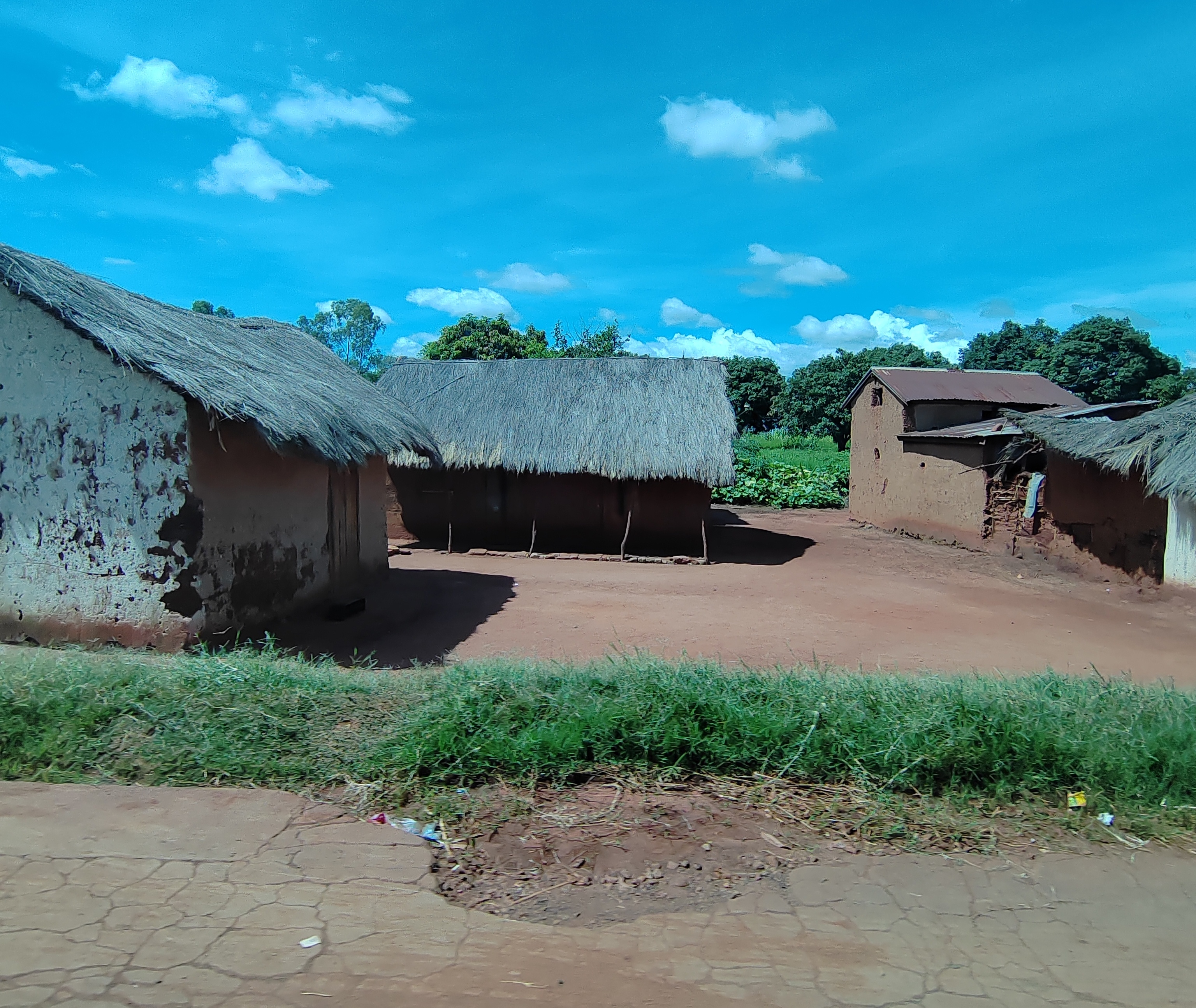 Мадагаскар: приключения на зелёном острове! Внутренние рейсы включены! (128/333)