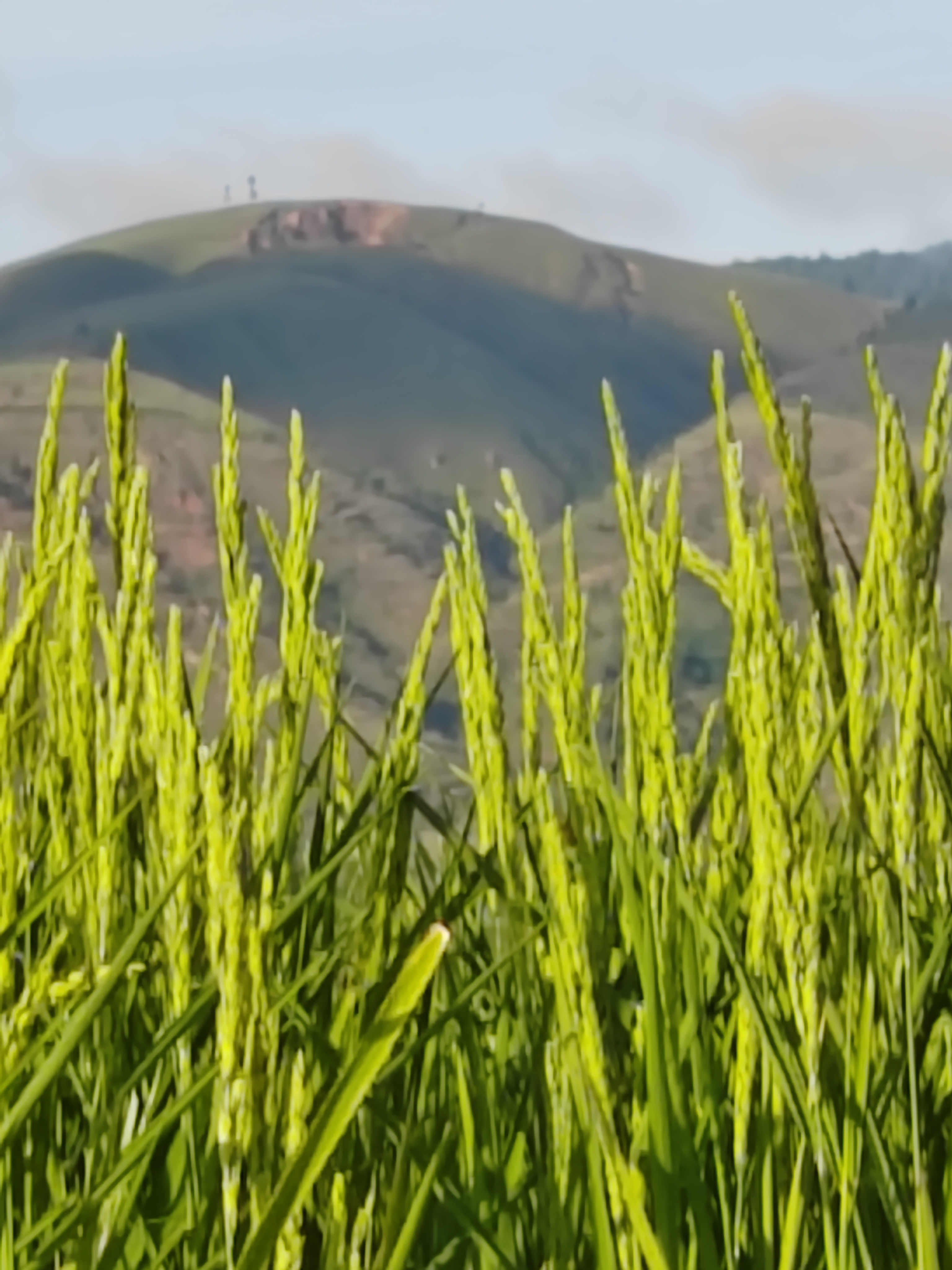 Мадагаскар: приключения на зелёном острове! Внутренние рейсы включены! (122/333)