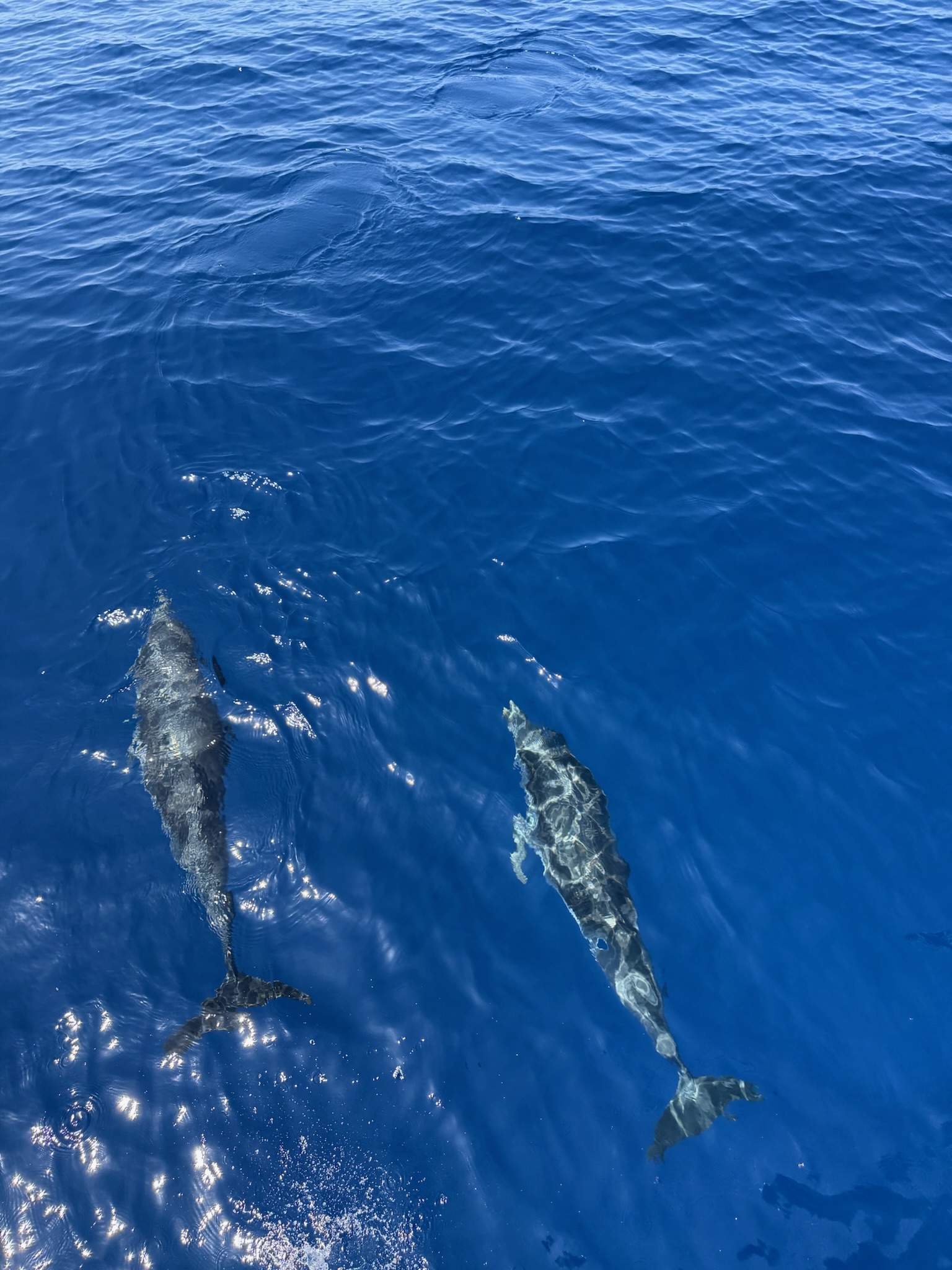 Яхтинг по Сицилии и Липарским островам (20/27)