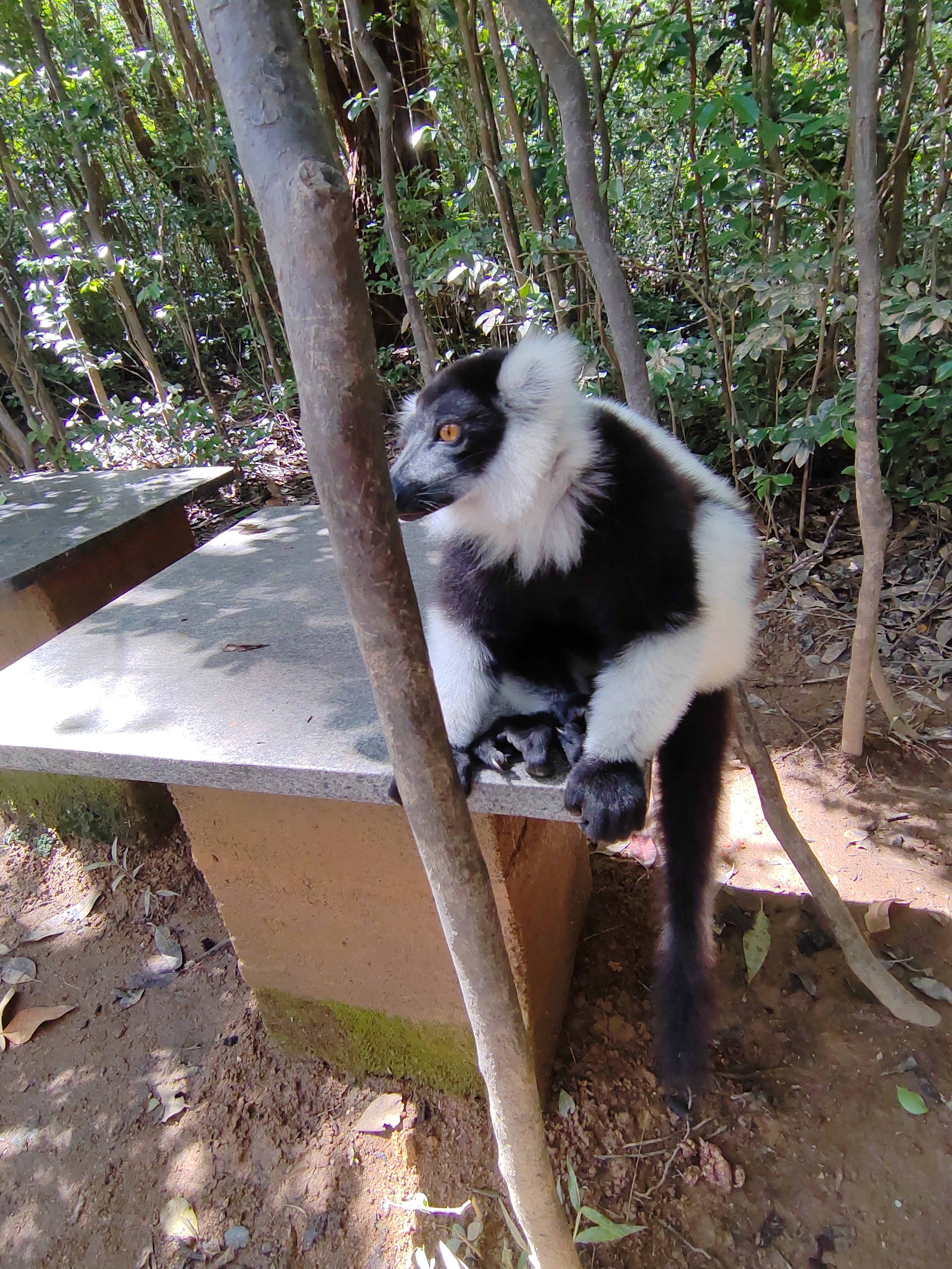 Мадагаскар: приключения на зелёном острове! Внутренние рейсы включены! (66/333)