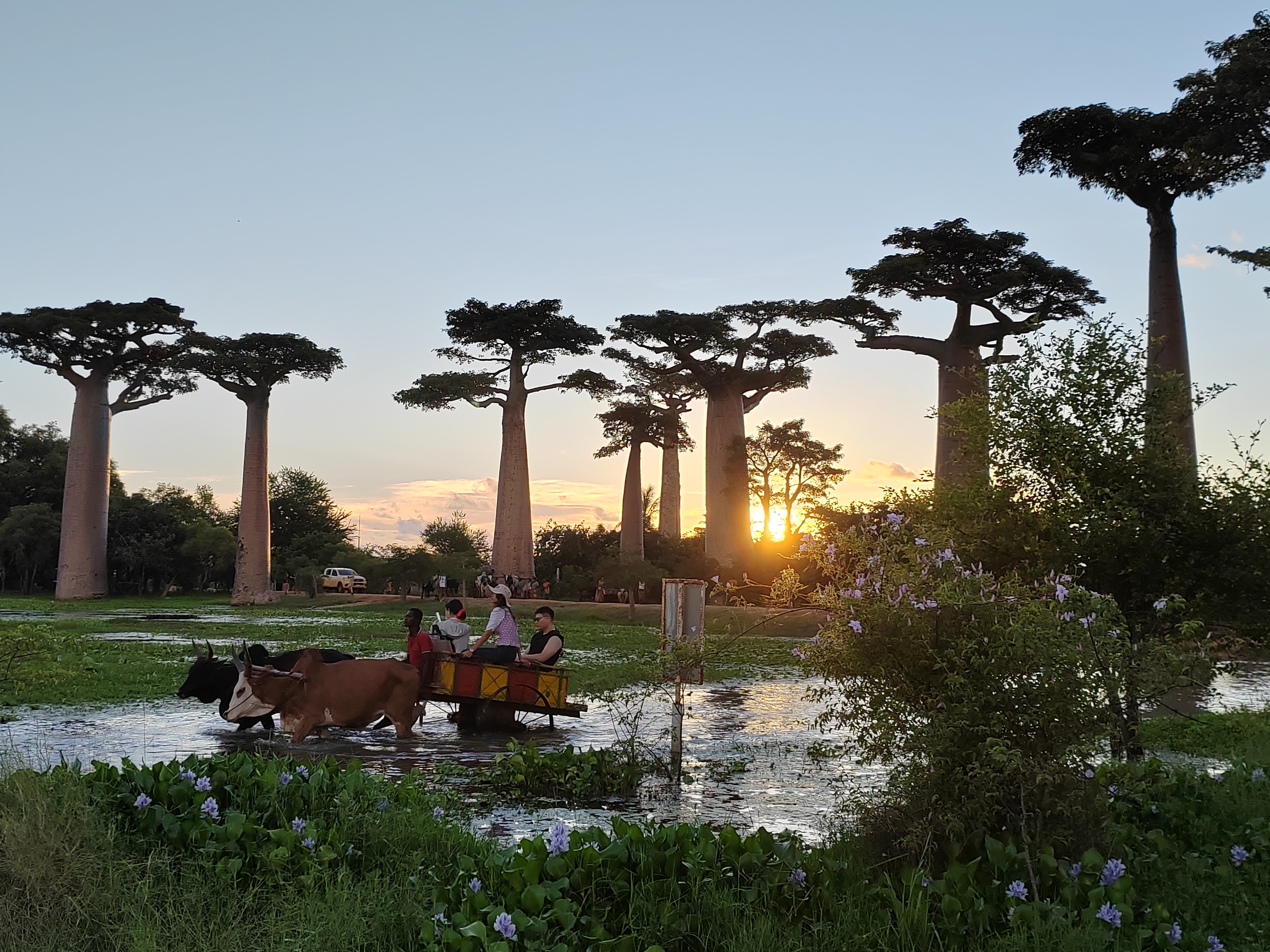 Мадагаскар: приключения на зелёном острове! Внутренние рейсы включены! (204/333)