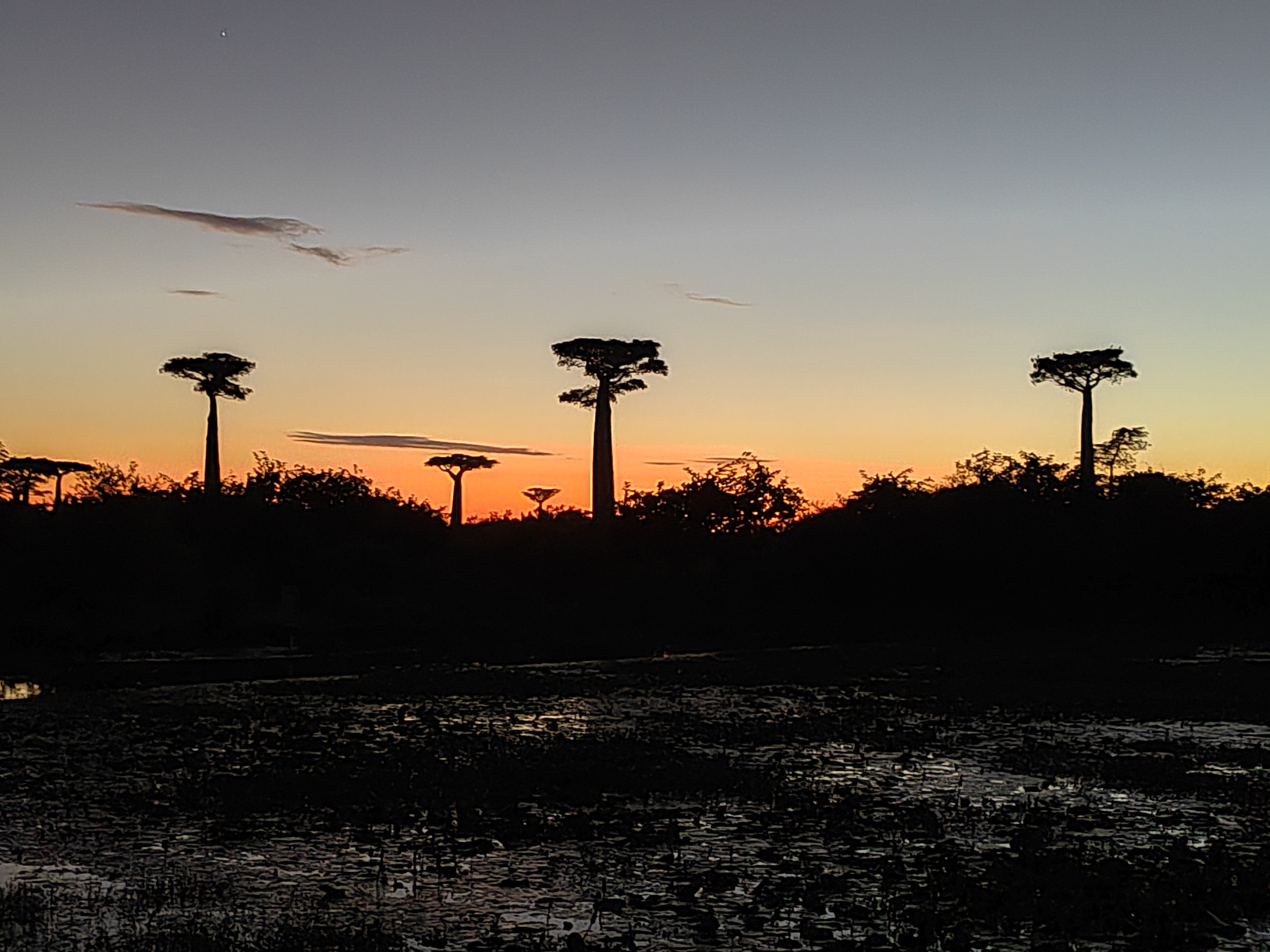 Мадагаскар: приключения на зелёном острове! Внутренние рейсы включены! (212/333)