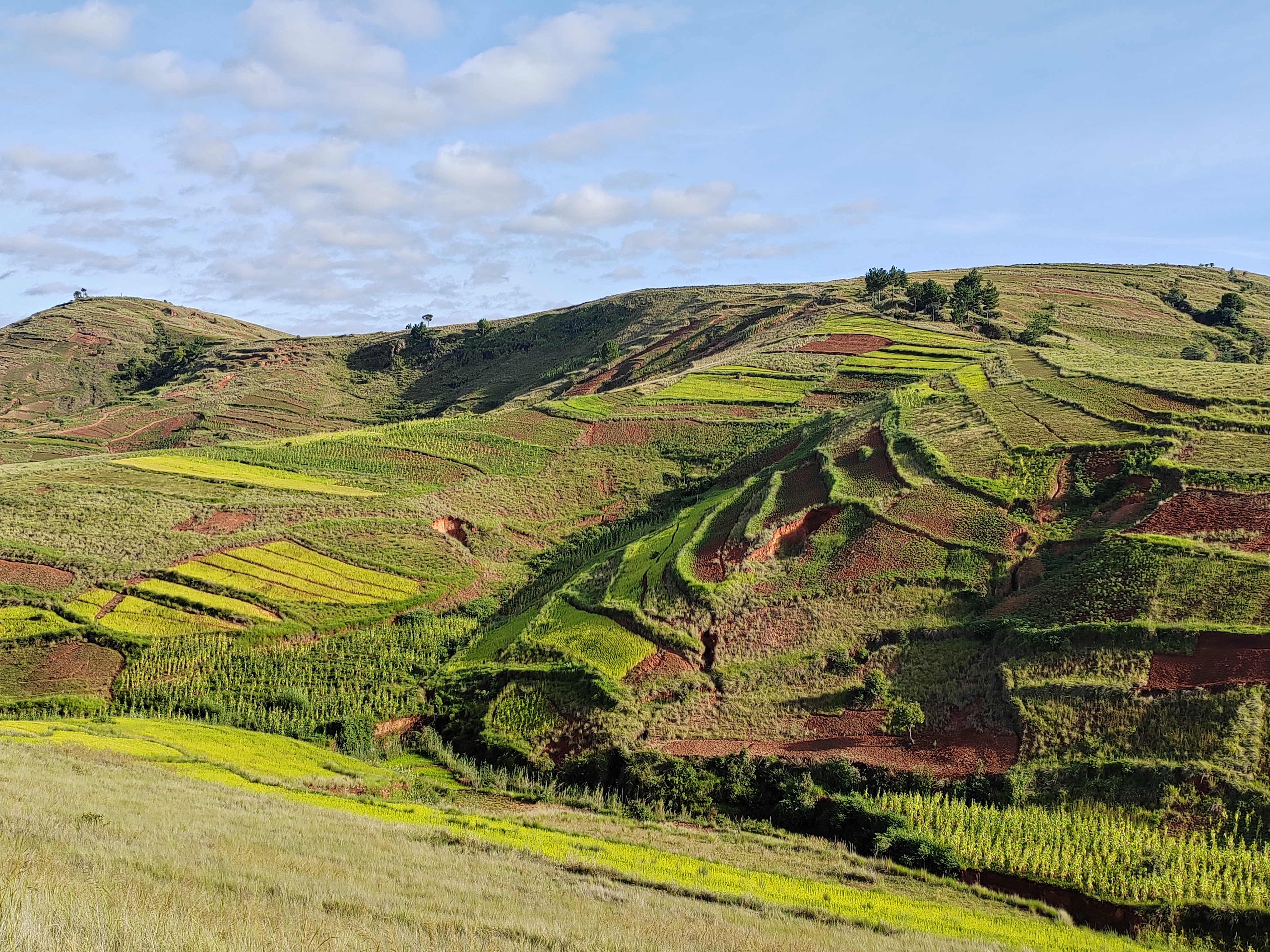 Мадагаскар: приключения на зелёном острове! Внутренние рейсы включены! (127/333)