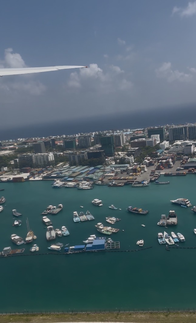 Приключения на острове Фуладу! Три острова! (33/33)