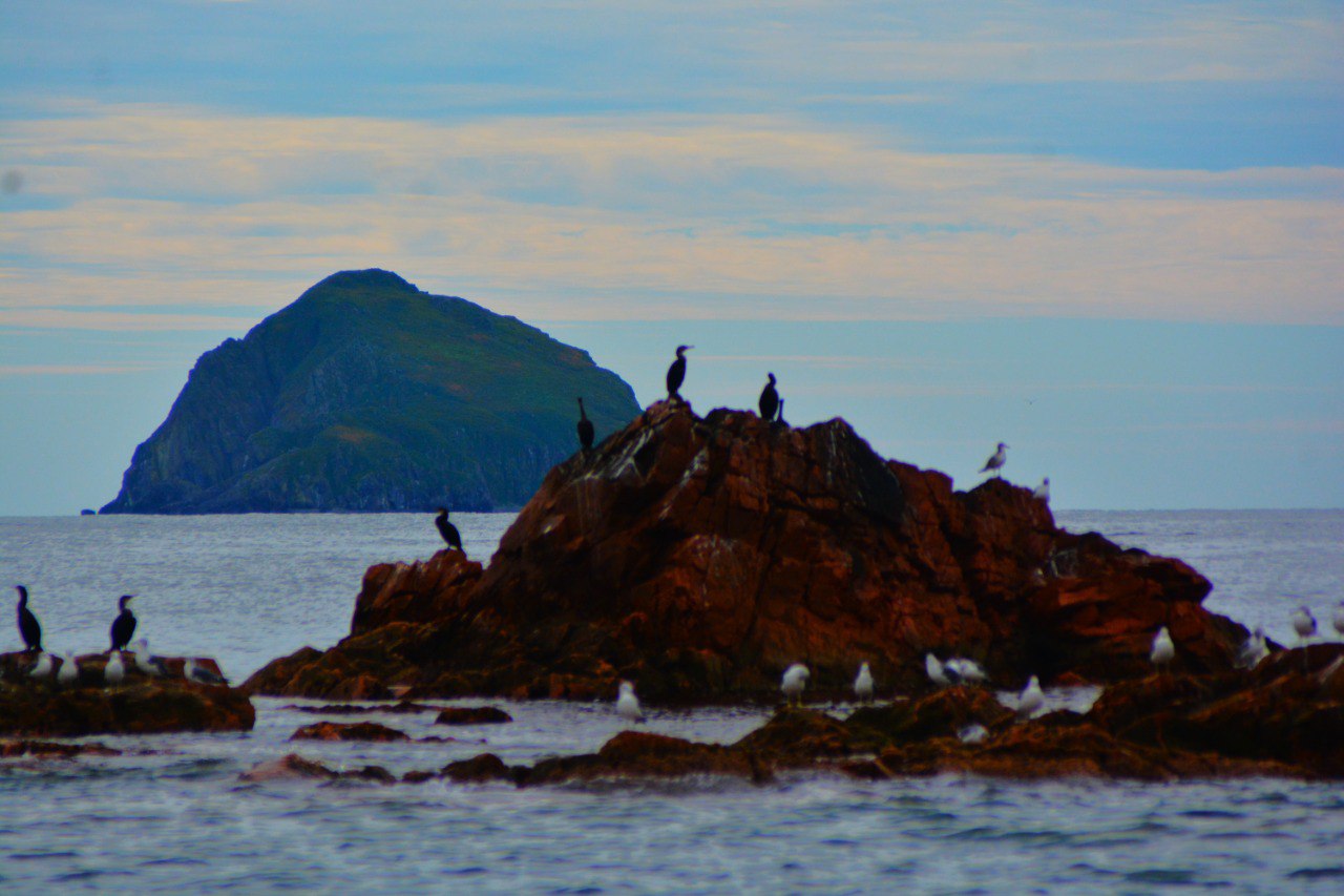 Экскурсия 6 островов: морская одиссея по островам архипелага Императрицы Евгении (13/18)