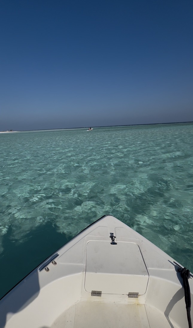 Приключения на острове Фуладу! Три острова! (31/33)